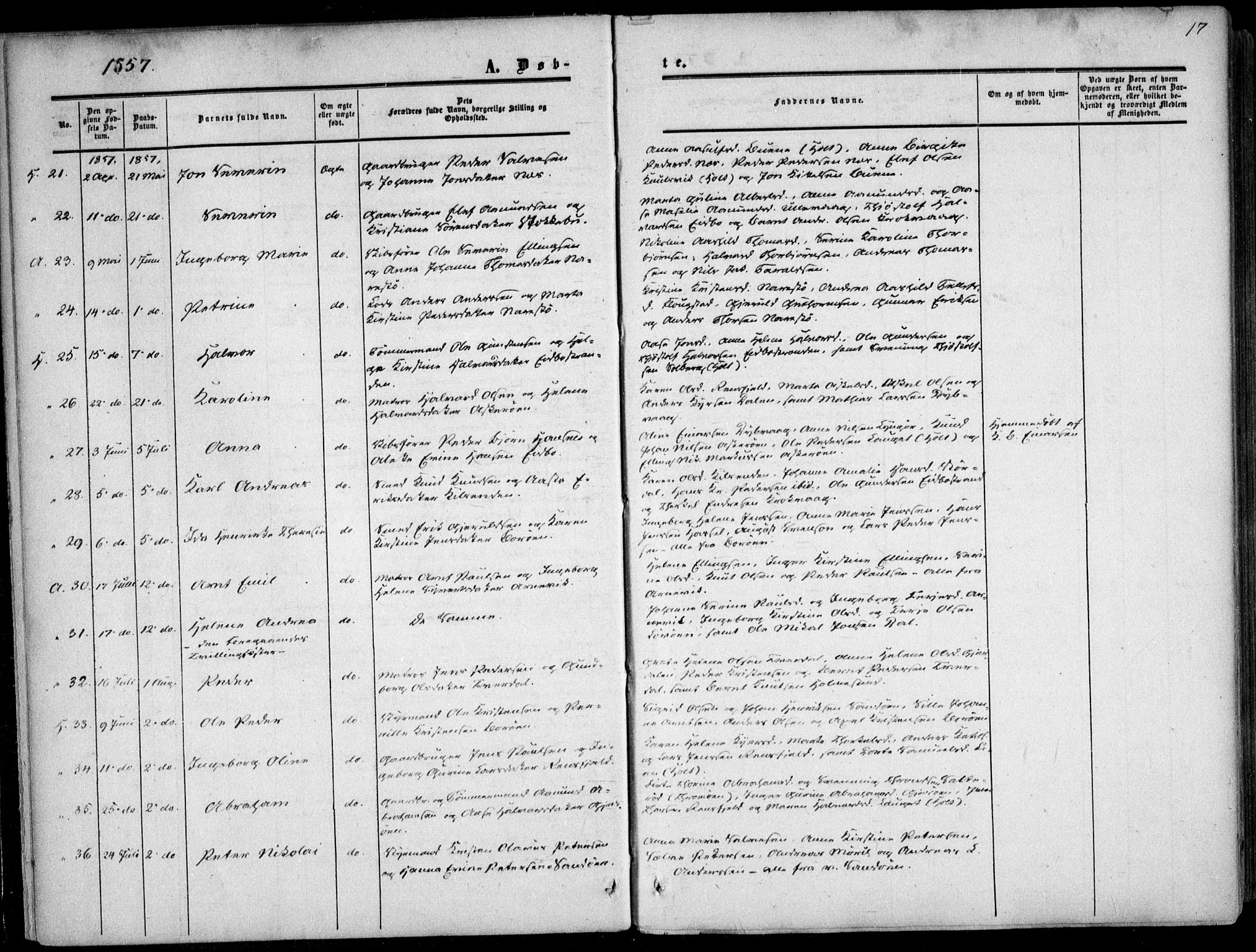 Dypvåg sokneprestkontor, SAK/1111-0007/F/Fa/Faa/L0006: Parish register (official) no. A 6, 1855-1872, p. 17