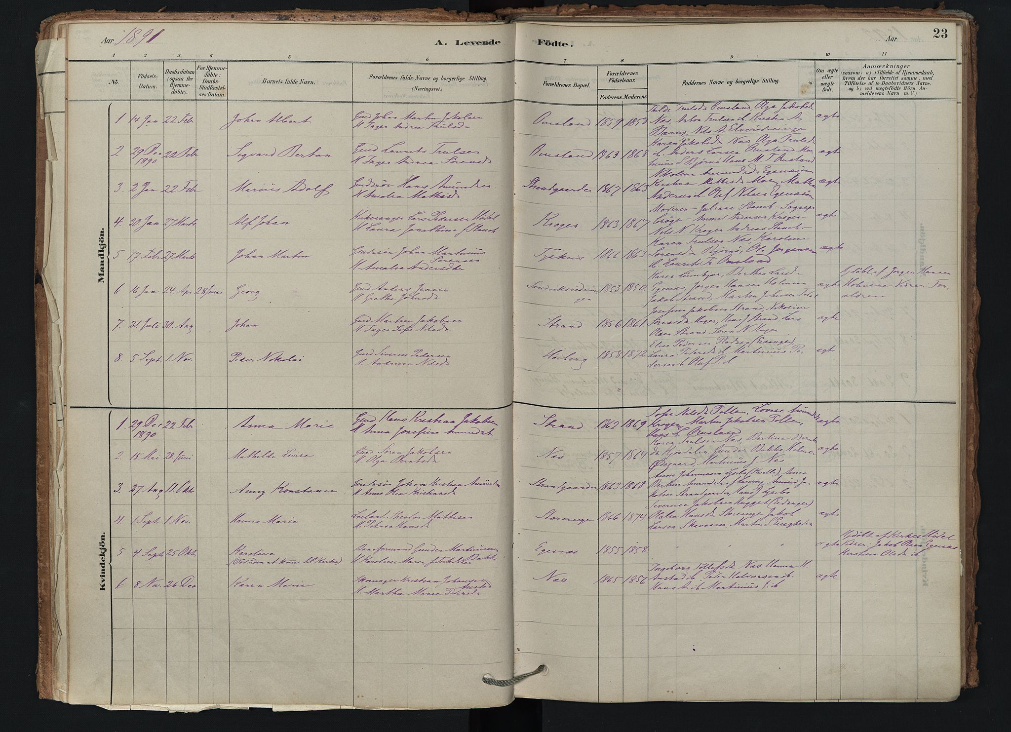 Brunlanes kirkebøker, AV/SAKO-A-342/F/Fd/L0001: Parish register (official) no. IV 1, 1878-1917, p. 23