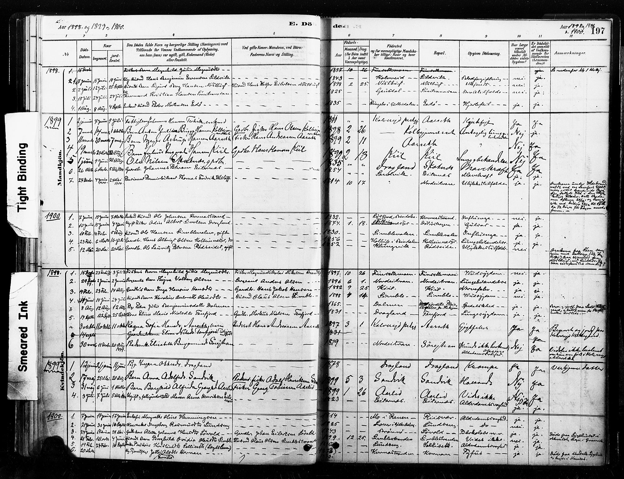 Ministerialprotokoller, klokkerbøker og fødselsregistre - Nord-Trøndelag, SAT/A-1458/789/L0705: Parish register (official) no. 789A01, 1878-1910, p. 197