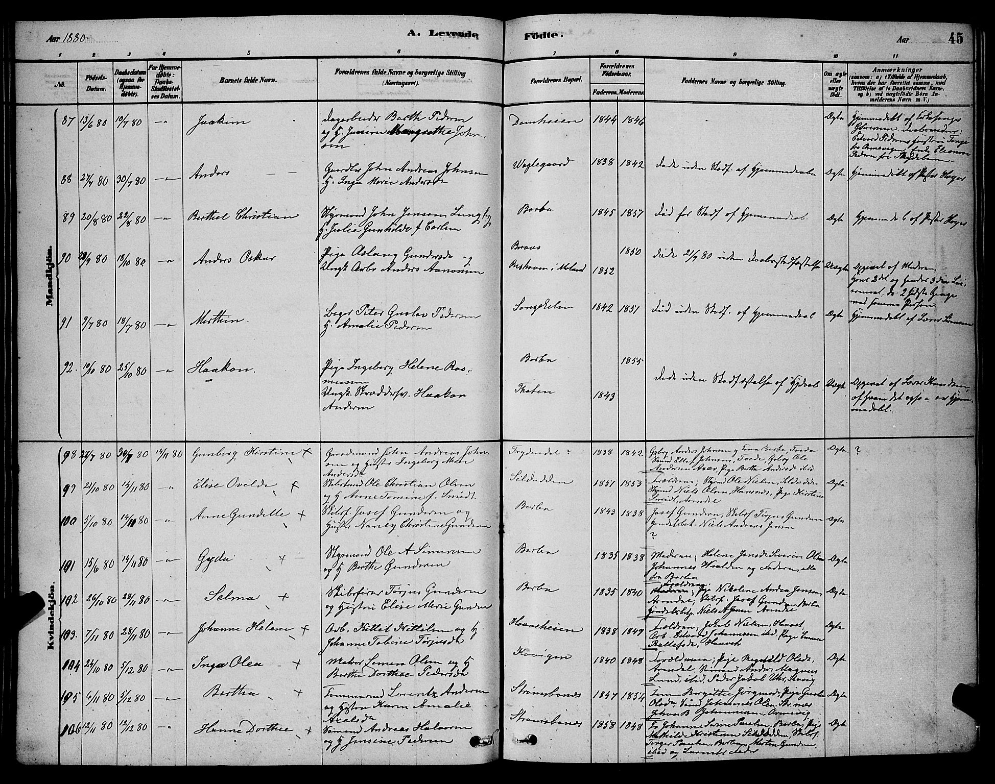 Barbu sokneprestkontor, AV/SAK-1111-0003/F/Fb/L0001: Parish register (copy) no. B 1, 1878-1890, p. 45