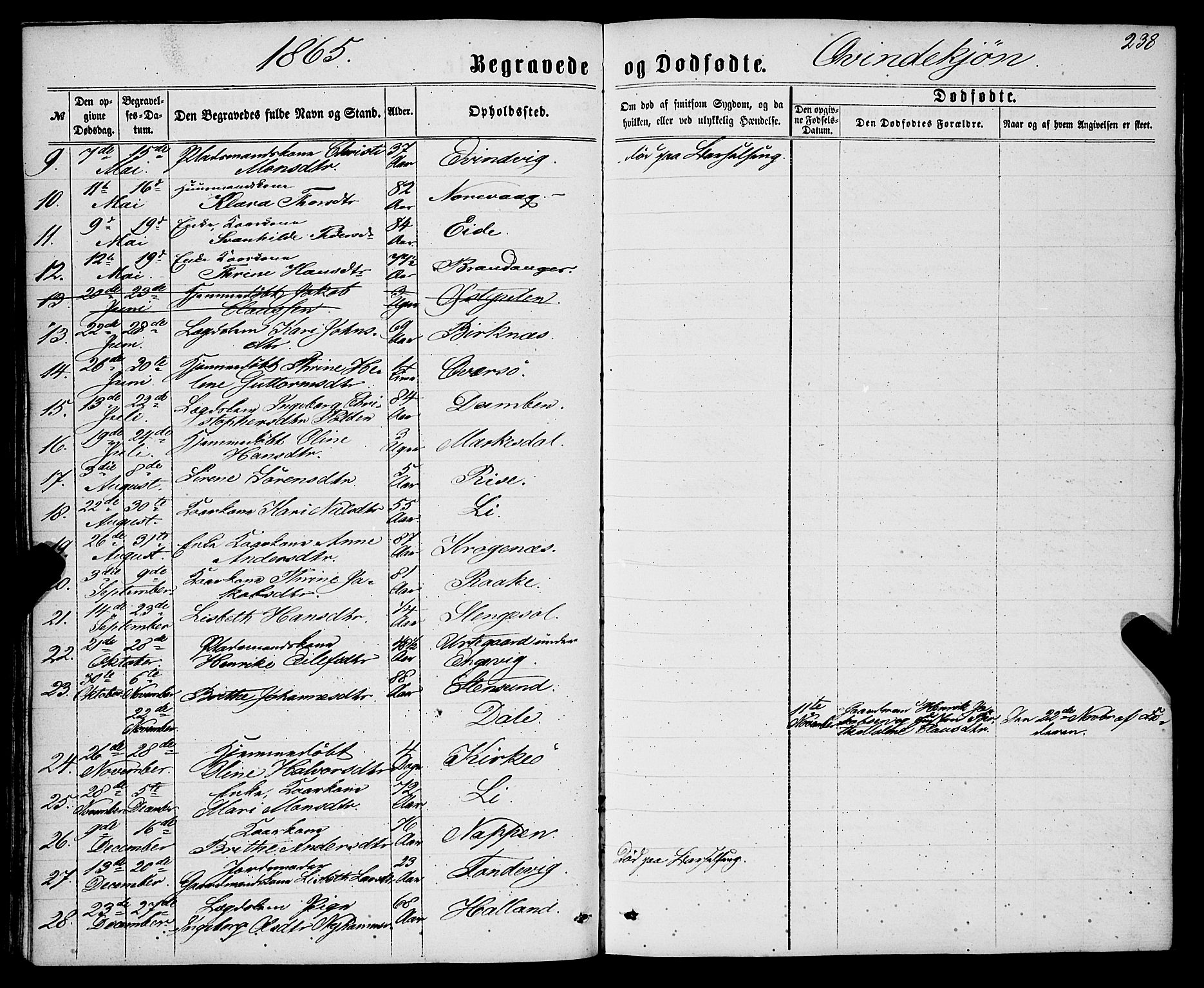 Gulen sokneprestembete, AV/SAB-A-80201/H/Haa/Haaa/L0022: Parish register (official) no. A 22, 1859-1869, p. 238