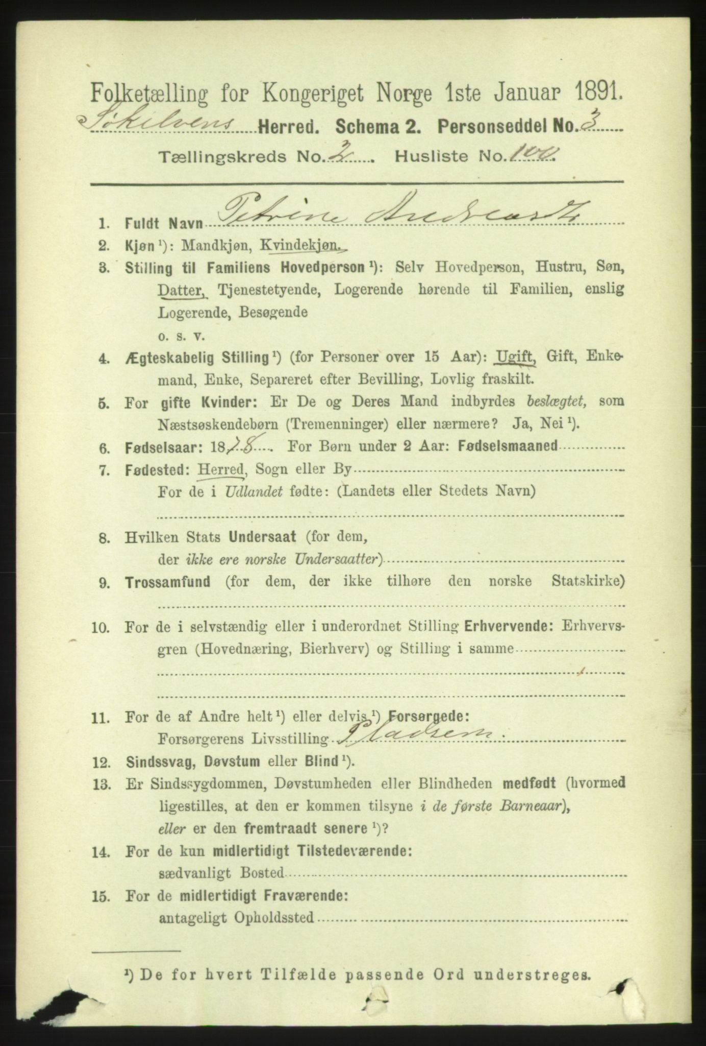 RA, 1891 census for 1528 Sykkylven, 1891, p. 1447