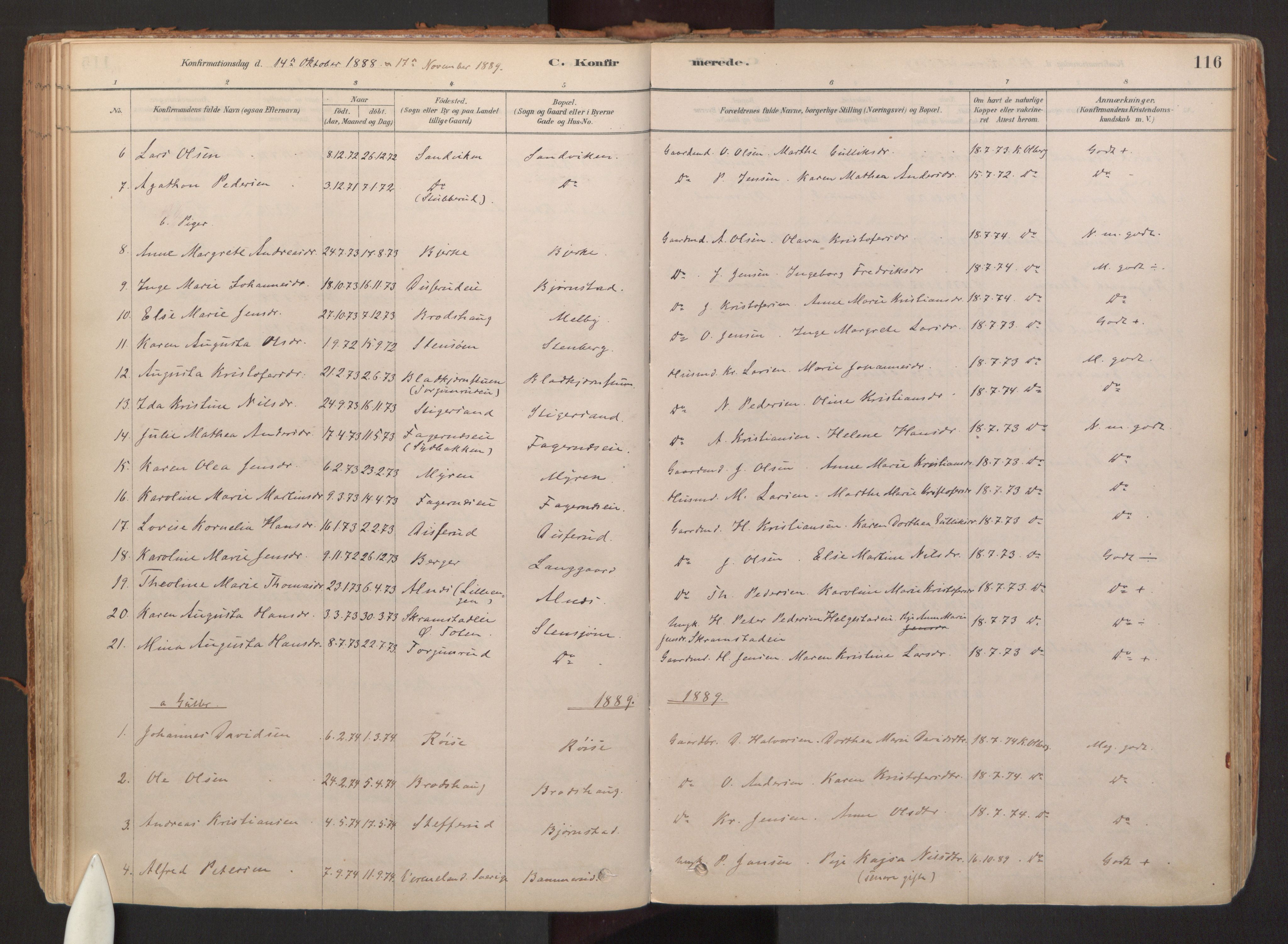 Hurdal prestekontor Kirkebøker, SAO/A-10889/F/Fb/L0003: Parish register (official) no. II 3, 1878-1920, p. 116
