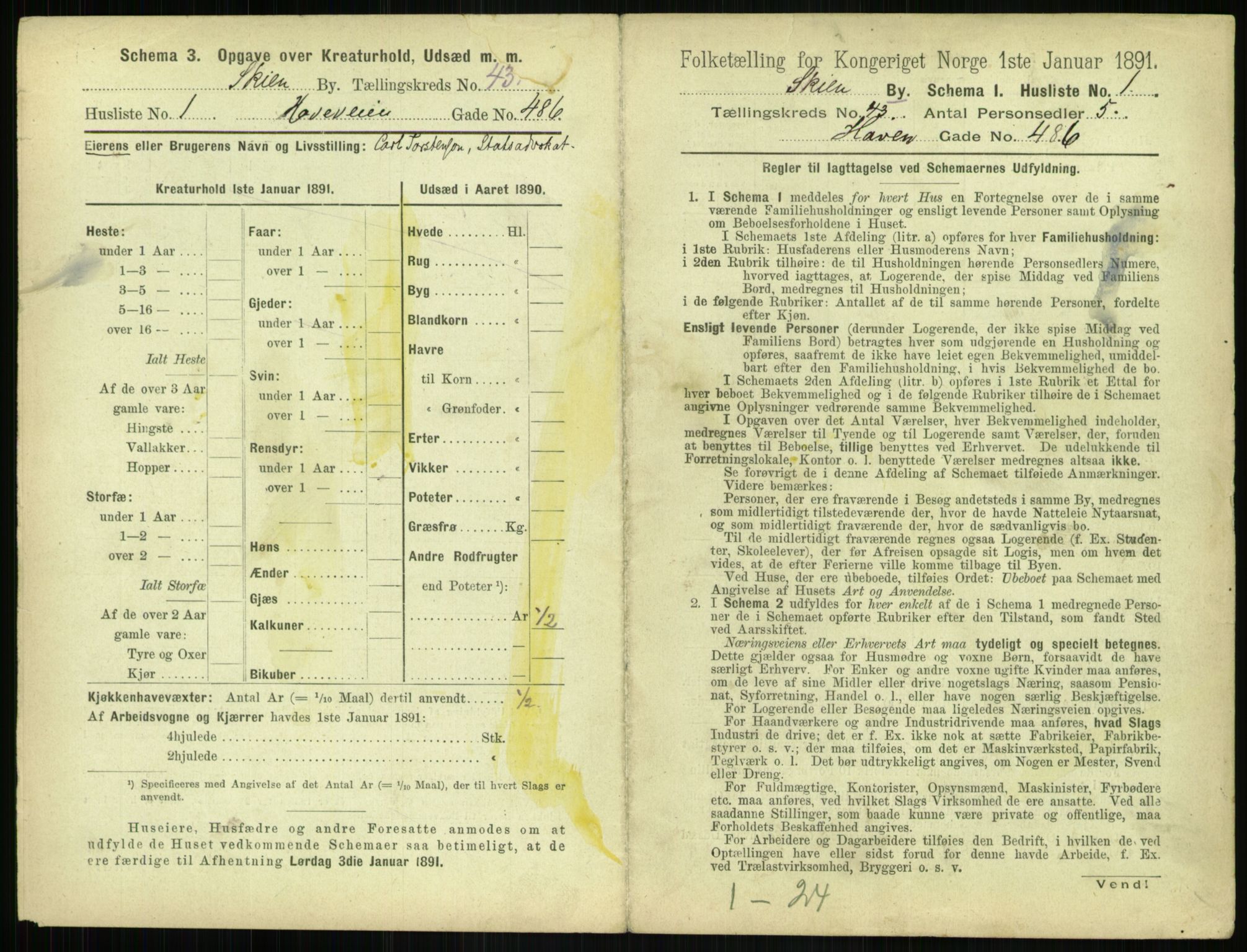 RA, 1891 census for 0806 Skien, 1891, p. 1484