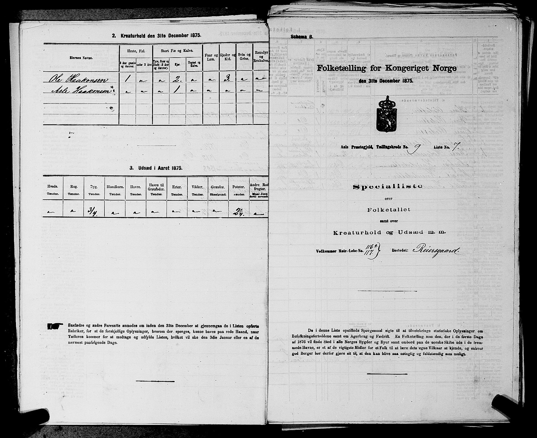 SAKO, 1875 census for 0619P Ål, 1875, p. 1104