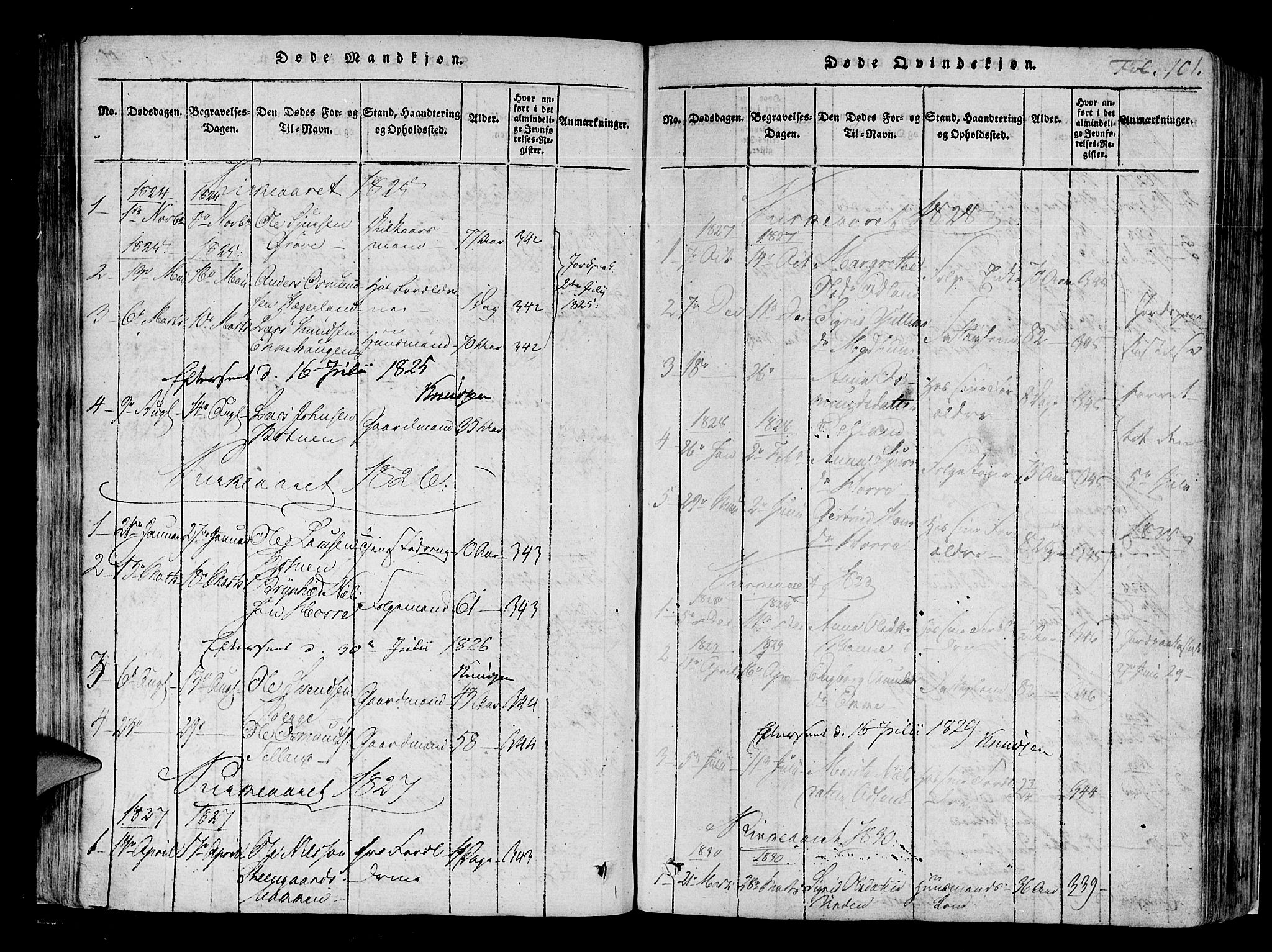 Røldal sokneprestembete, AV/SAB-A-100247: Parish register (official) no. A 2, 1817-1856, p. 101