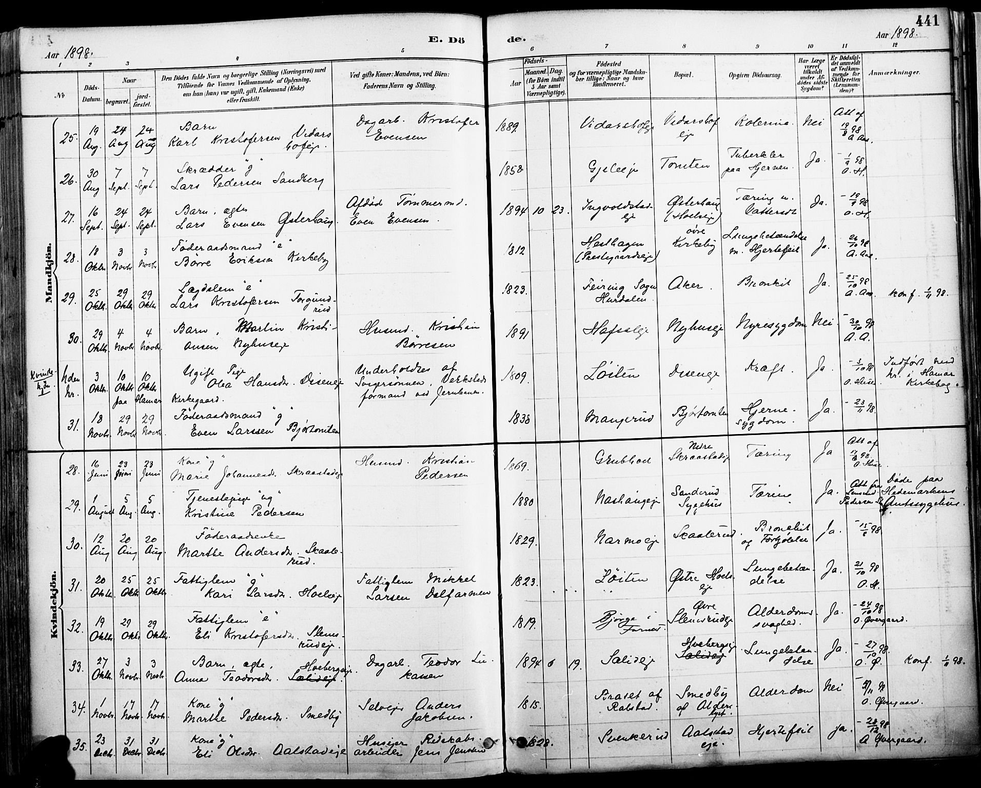 Vang prestekontor, Hedmark, AV/SAH-PREST-008/H/Ha/Haa/L0019A: Parish register (official) no. 19, 1886-1900, p. 441