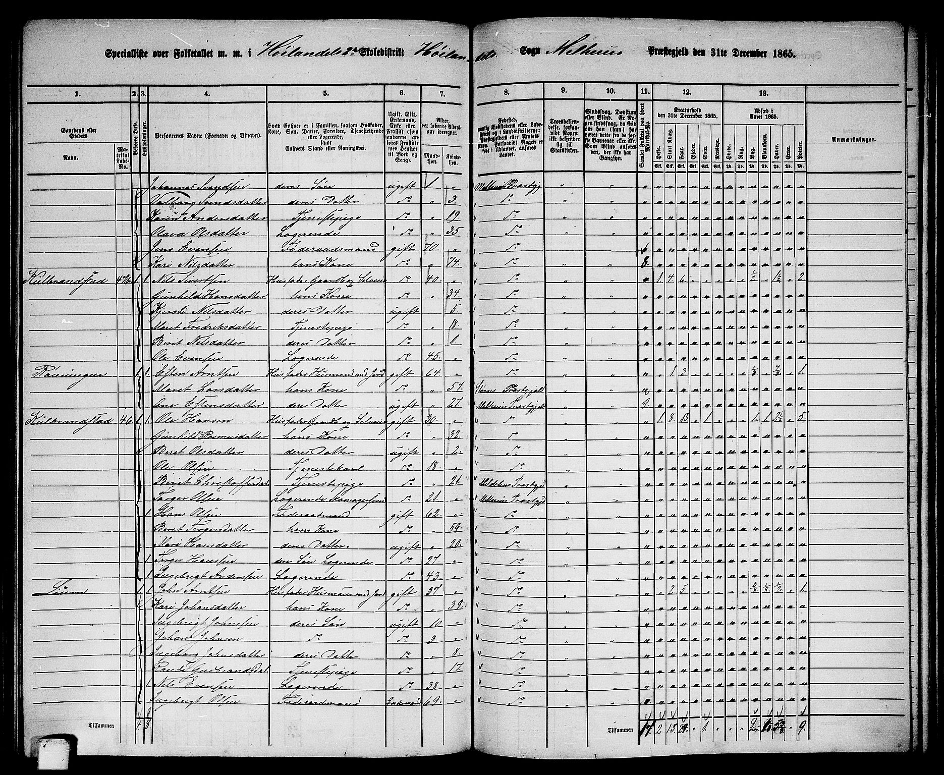 RA, 1865 census for Melhus, 1865, p. 186