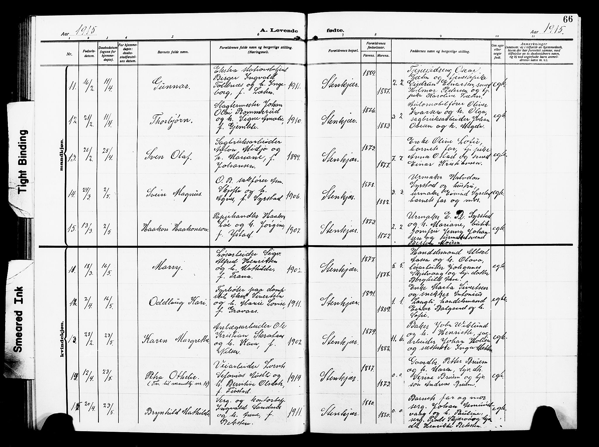 Ministerialprotokoller, klokkerbøker og fødselsregistre - Nord-Trøndelag, AV/SAT-A-1458/739/L0376: Parish register (copy) no. 739C04, 1908-1917, p. 66