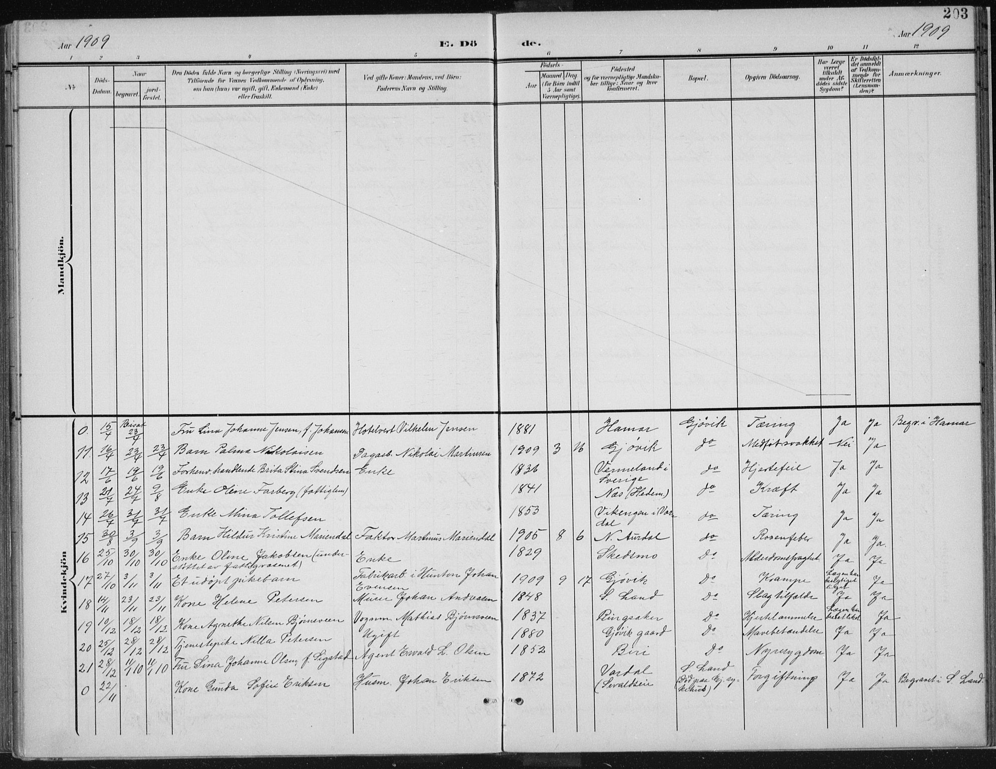 Vardal prestekontor, AV/SAH-PREST-100/H/Ha/Haa/L0013: Parish register (official) no. 13, 1901-1911, p. 203