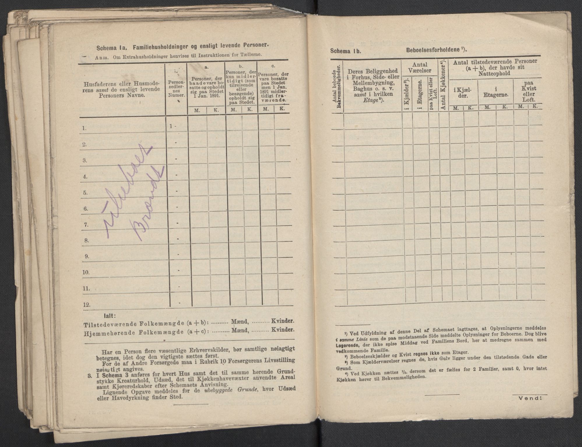 RA, 1891 Census for 1301 Bergen, 1891, p. 3145