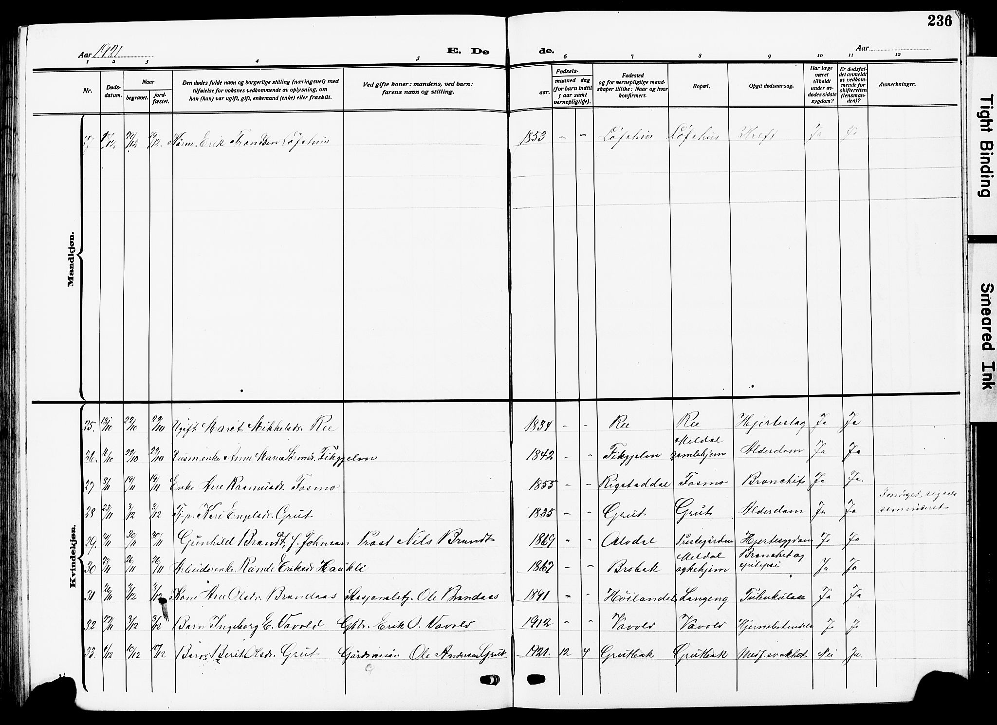 Ministerialprotokoller, klokkerbøker og fødselsregistre - Sør-Trøndelag, AV/SAT-A-1456/672/L0865: Parish register (copy) no. 672C04, 1914-1928, p. 236