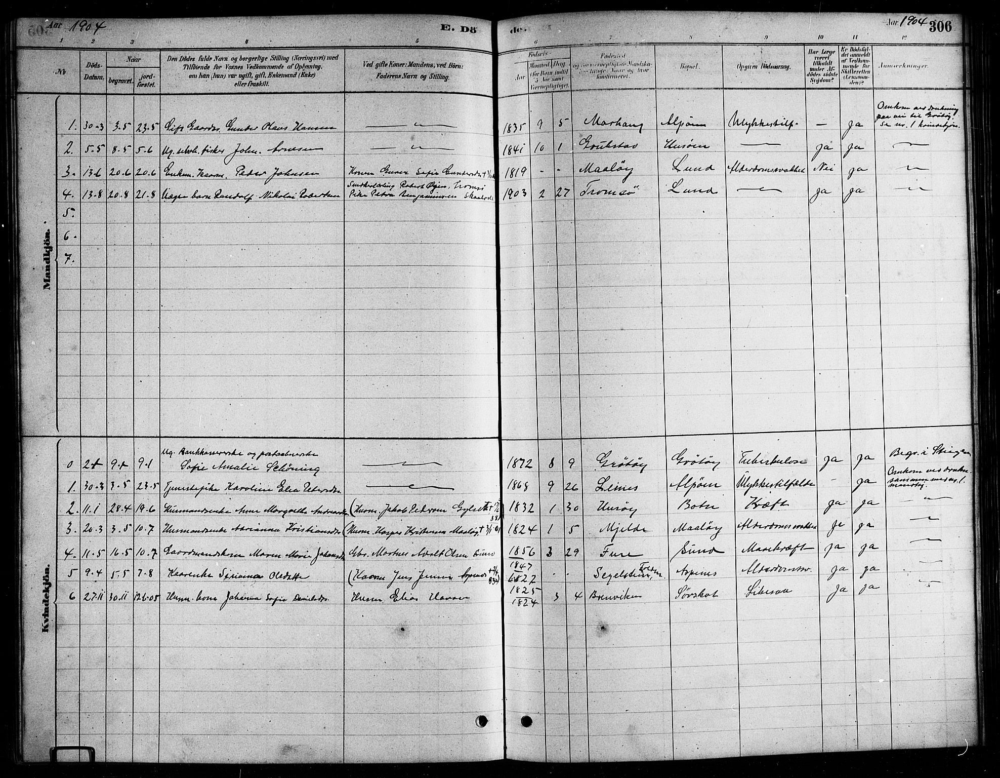 Ministerialprotokoller, klokkerbøker og fødselsregistre - Nordland, AV/SAT-A-1459/857/L0828: Parish register (copy) no. 857C03, 1879-1908, p. 306