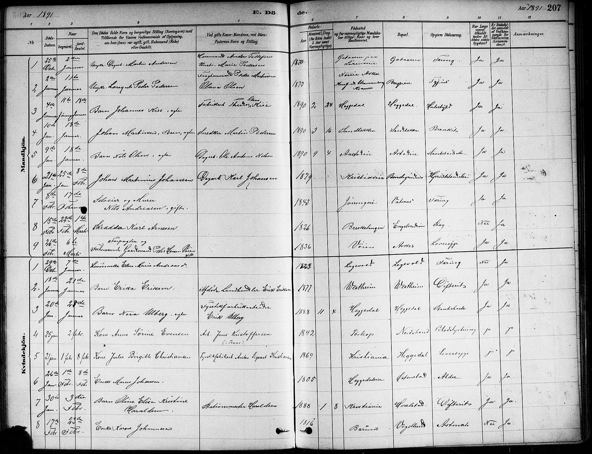 Asker prestekontor Kirkebøker, SAO/A-10256a/F/Fa/L0013: Parish register (official) no. I 13, 1879-1896, p. 207