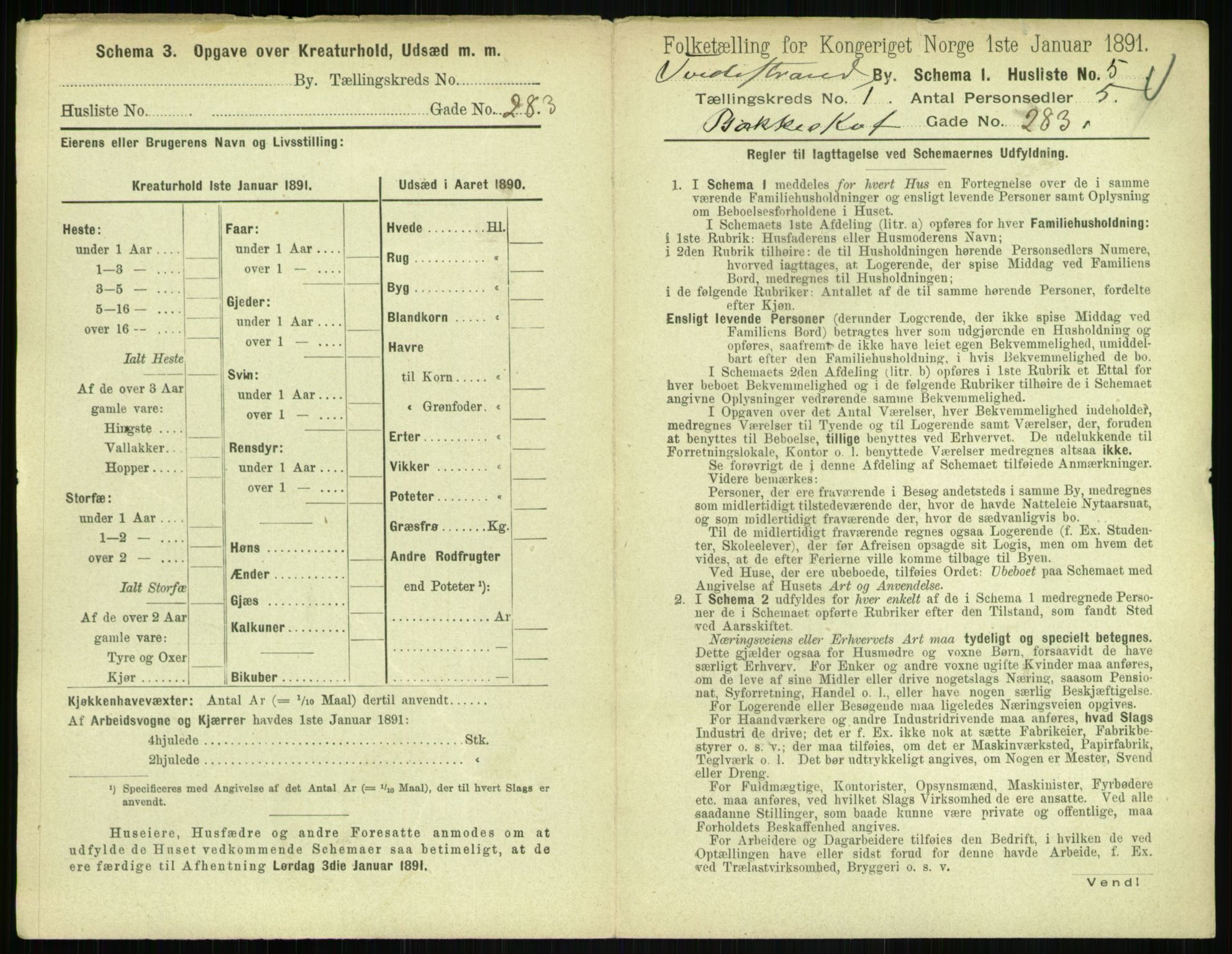 RA, 1891 census for 0902 Tvedestrand, 1891, p. 22