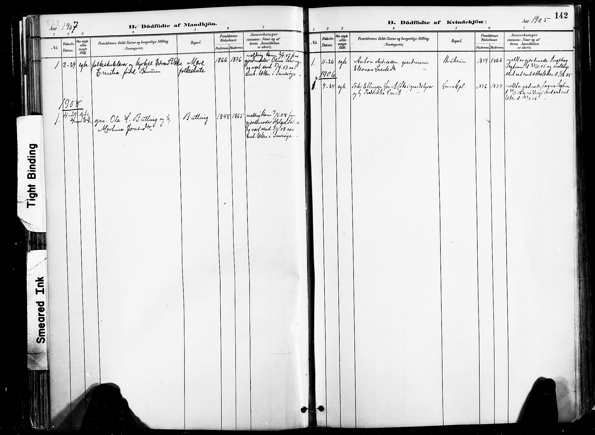Ministerialprotokoller, klokkerbøker og fødselsregistre - Nord-Trøndelag, SAT/A-1458/735/L0351: Parish register (official) no. 735A10, 1884-1908, p. 142