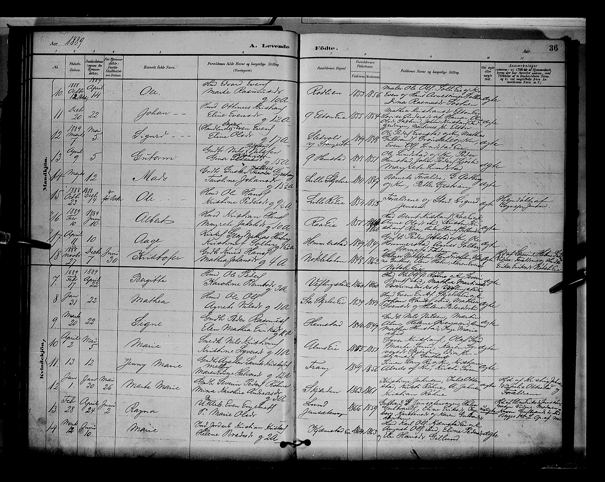 Stange prestekontor, AV/SAH-PREST-002/L/L0009: Parish register (copy) no. 9, 1883-1899, p. 36