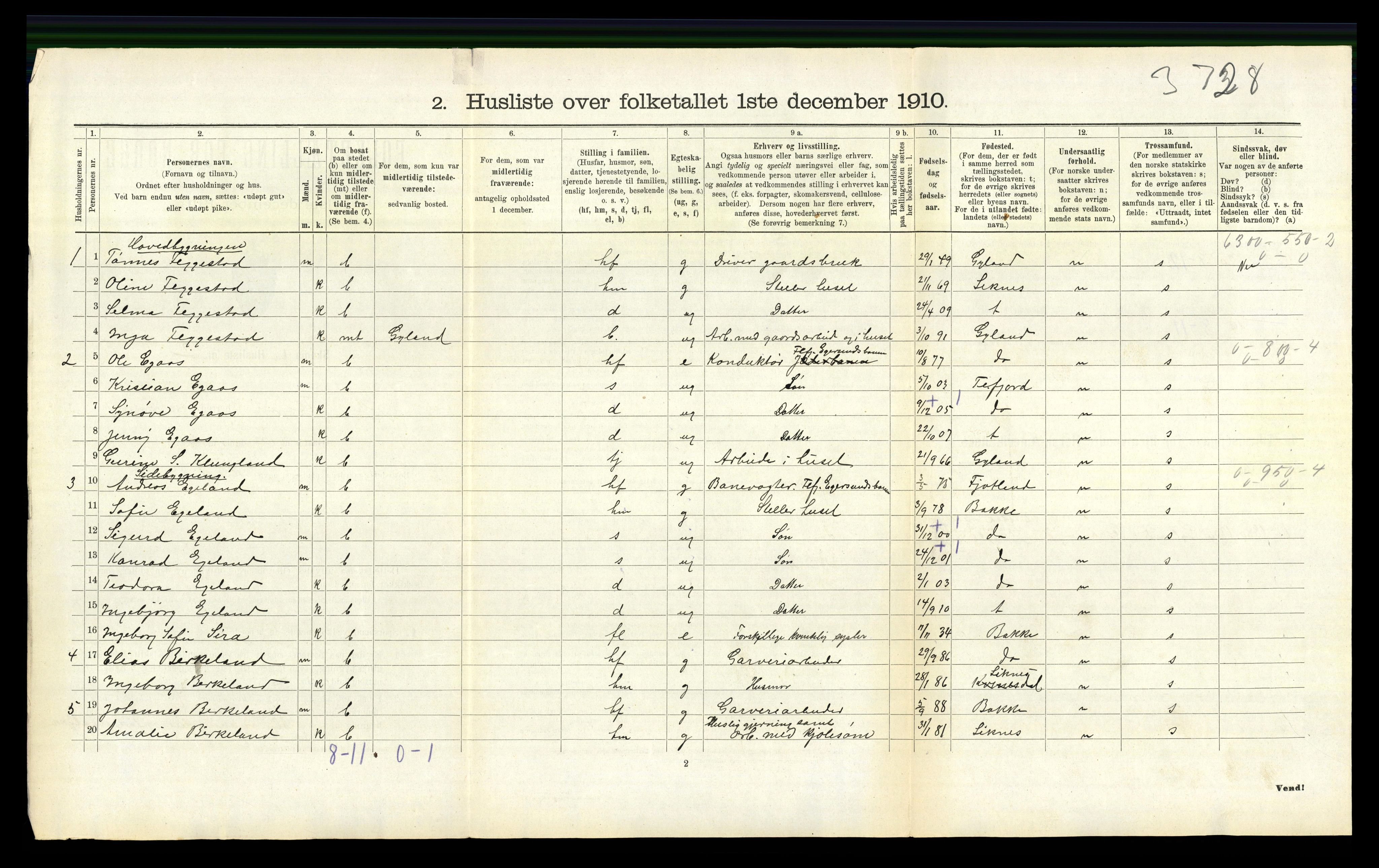 RA, 1910 census for Nes, 1910, p. 494