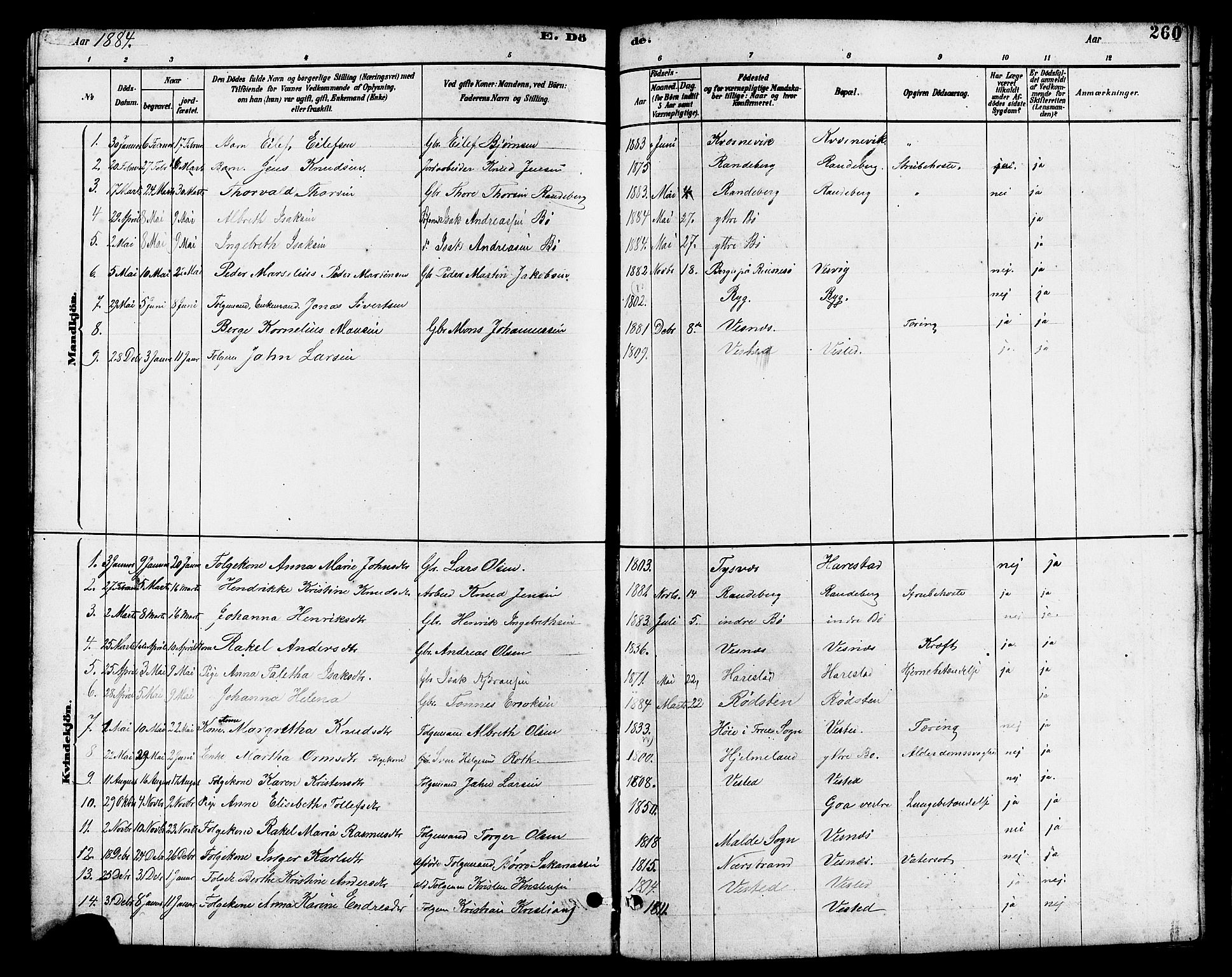 Hetland sokneprestkontor, SAST/A-101826/30/30BB/L0006: Parish register (copy) no. B 6, 1878-1921, p. 260