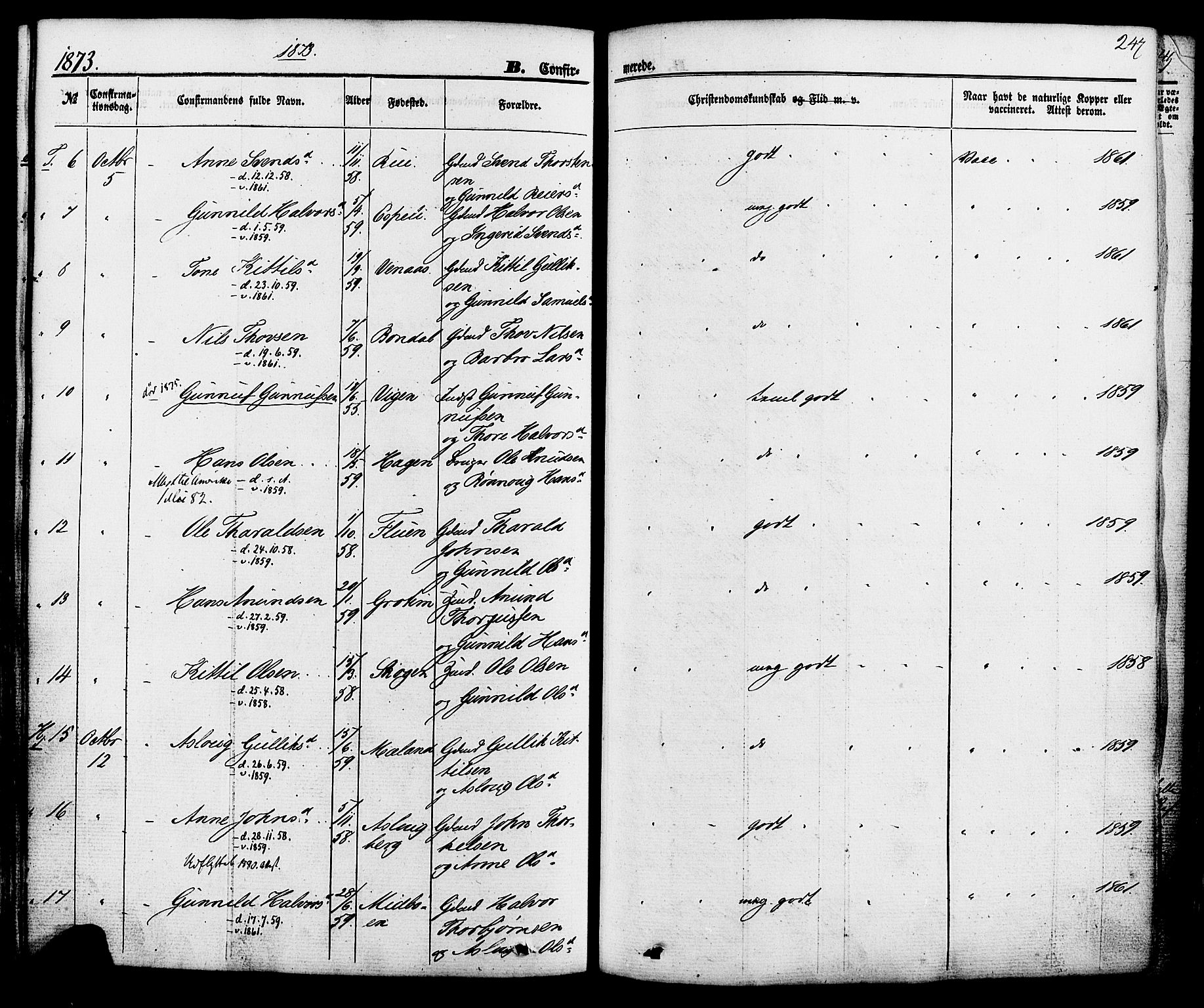 Hjartdal kirkebøker, SAKO/A-270/F/Fa/L0009: Parish register (official) no. I 9, 1860-1879, p. 247