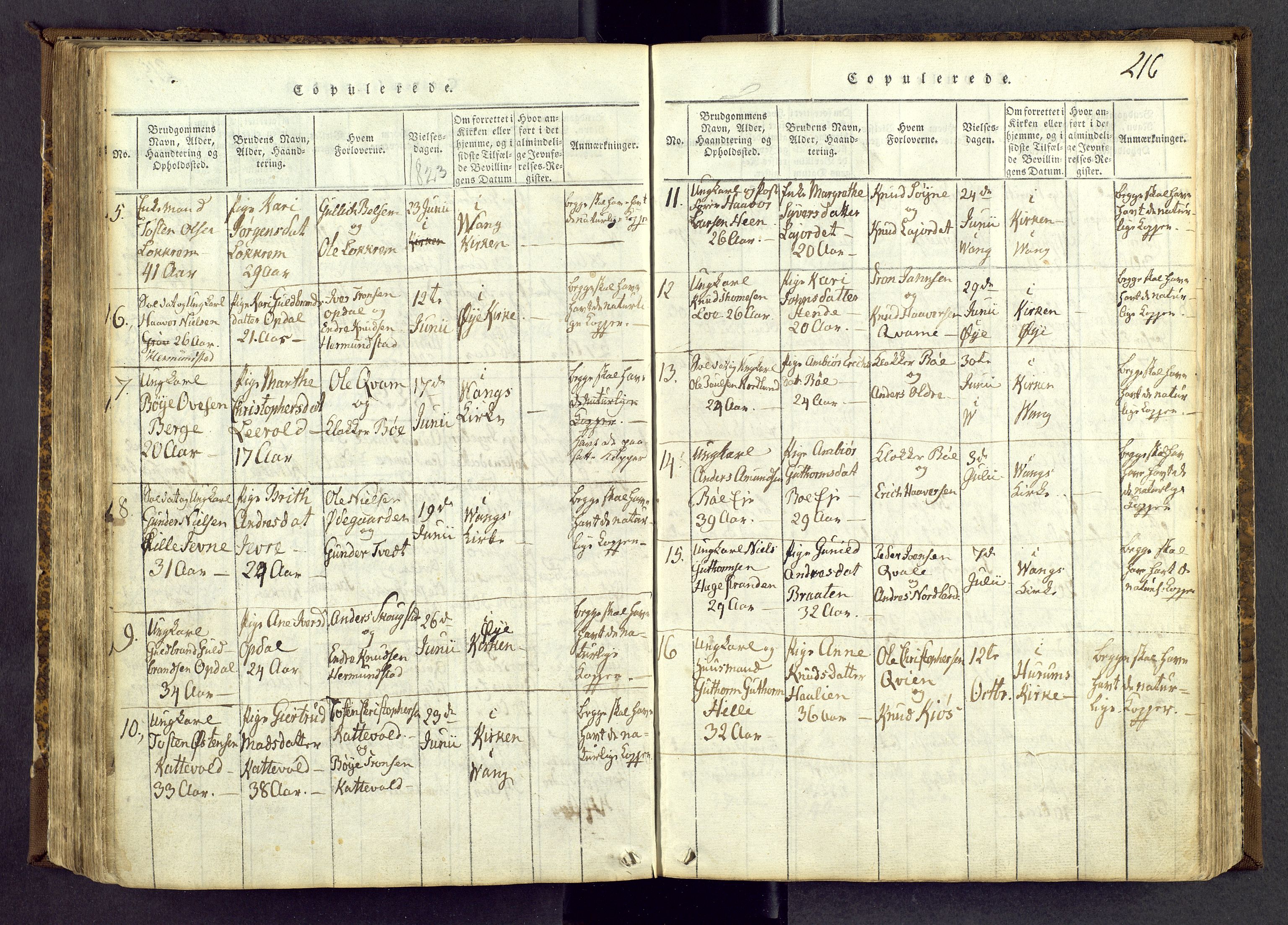 Vang prestekontor, Valdres, SAH/PREST-140/H/Ha/L0004: Parish register (official) no. 4, 1814-1831, p. 216