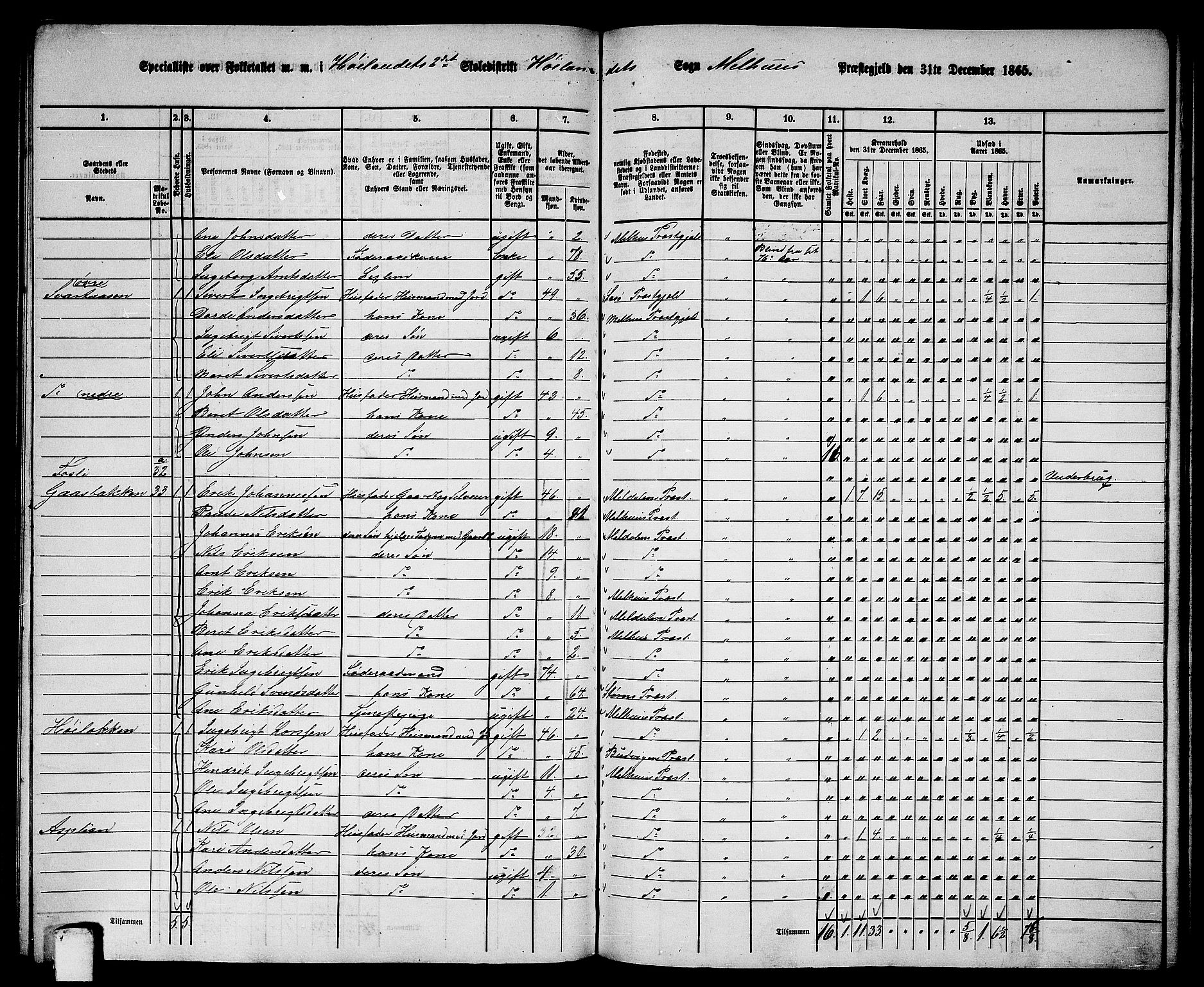 RA, 1865 census for Melhus, 1865, p. 196