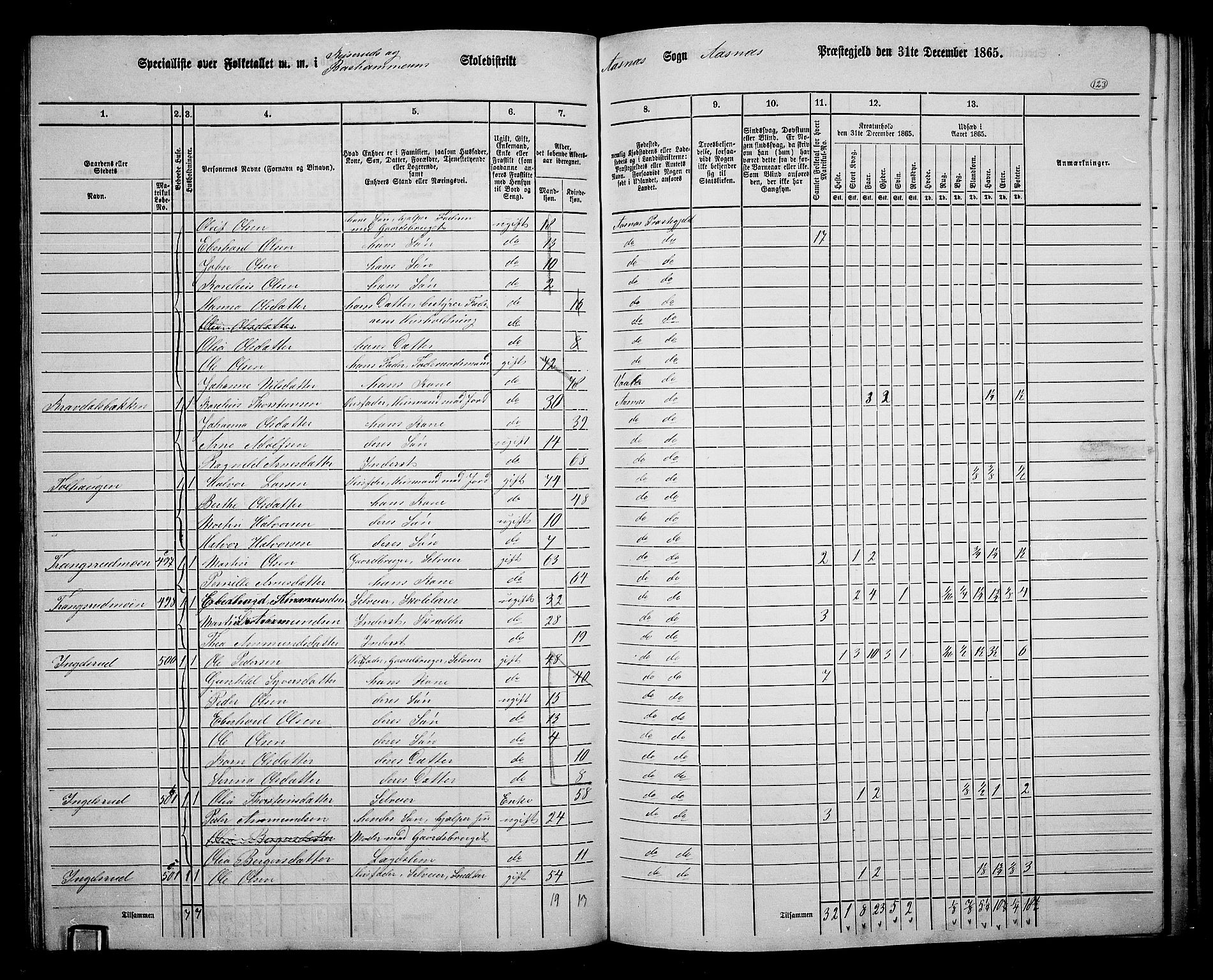 RA, 1865 census for Åsnes, 1865, p. 114