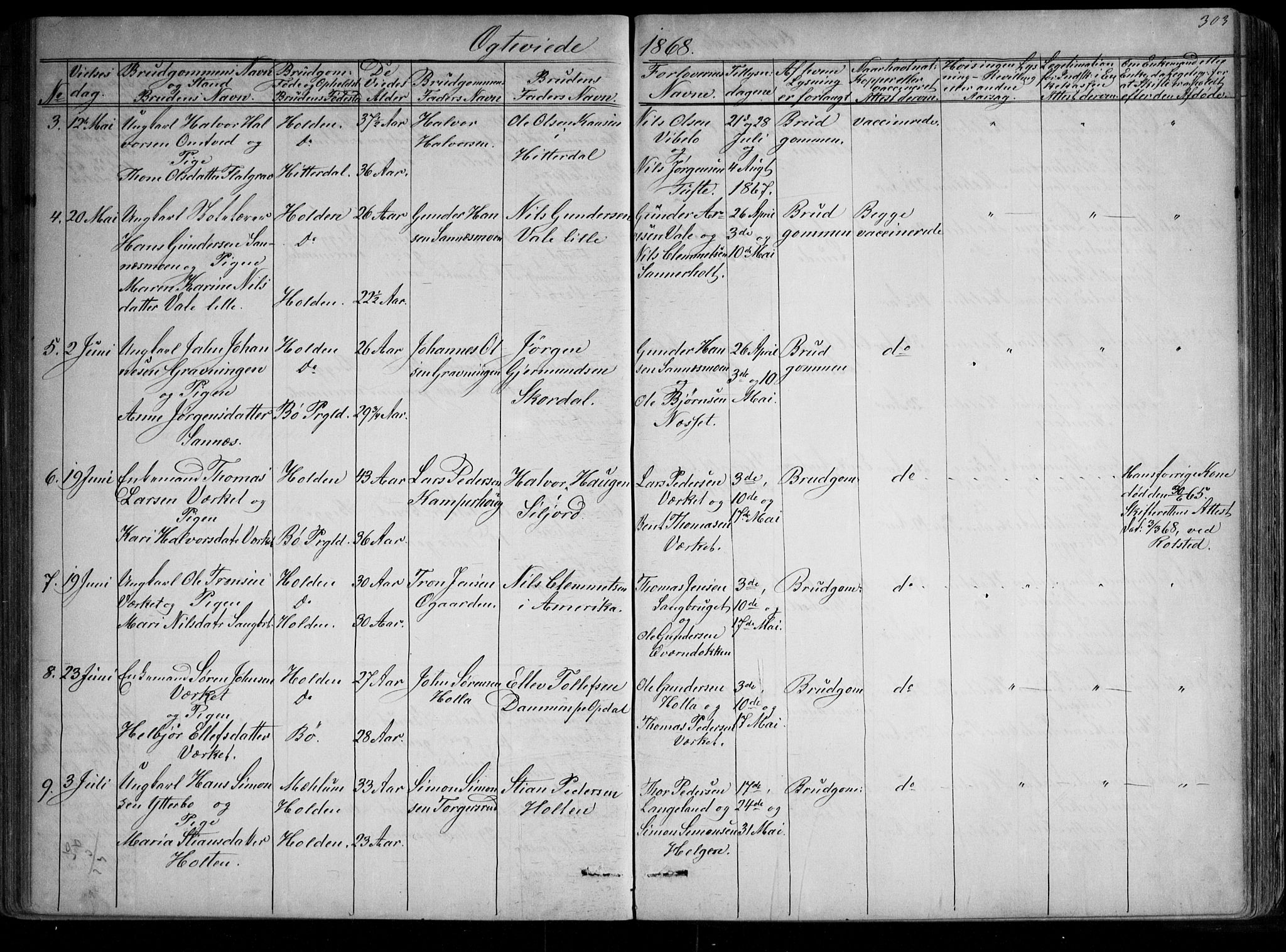 Holla kirkebøker, SAKO/A-272/G/Ga/L0004: Parish register (copy) no. I 4, 1867-1890, p. 303