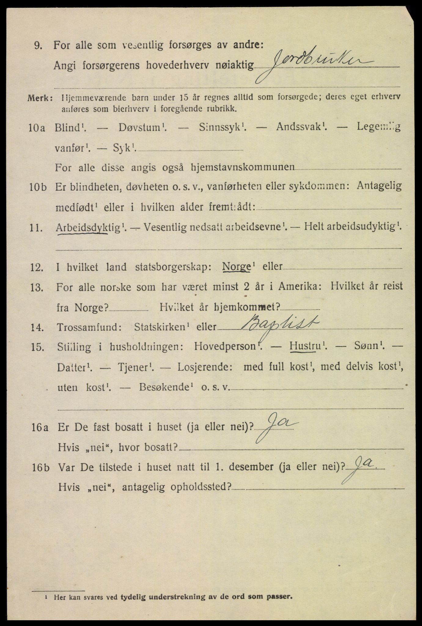 SAH, 1920 census for Sel, 1920, p. 4119