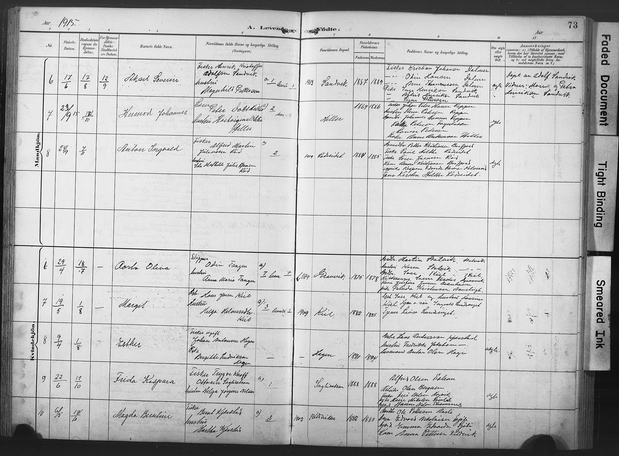 Ministerialprotokoller, klokkerbøker og fødselsregistre - Nord-Trøndelag, SAT/A-1458/789/L0706: Parish register (copy) no. 789C01, 1888-1931, p. 73