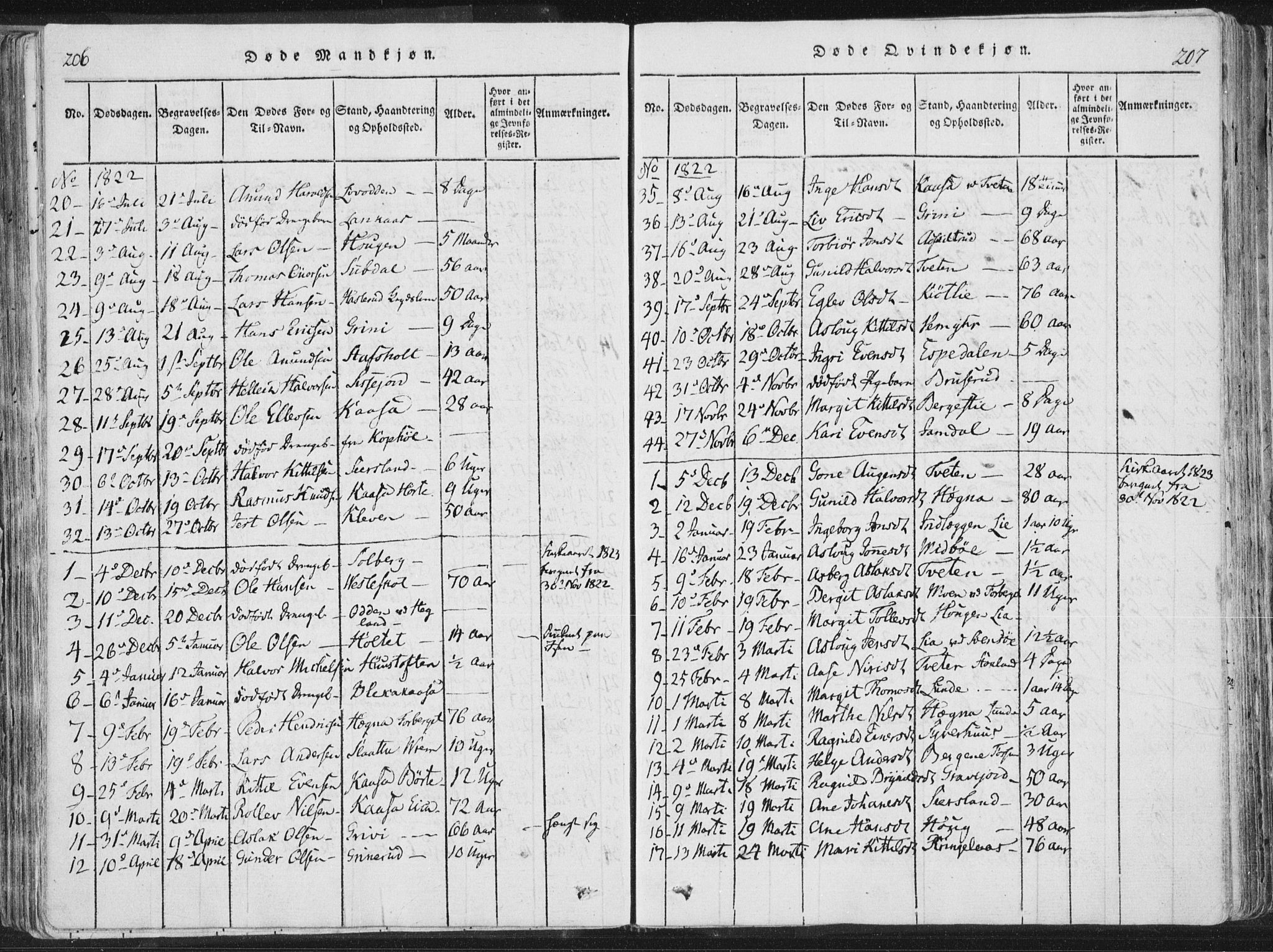 Bø kirkebøker, SAKO/A-257/F/Fa/L0006: Parish register (official) no. 6, 1815-1831, p. 206-207