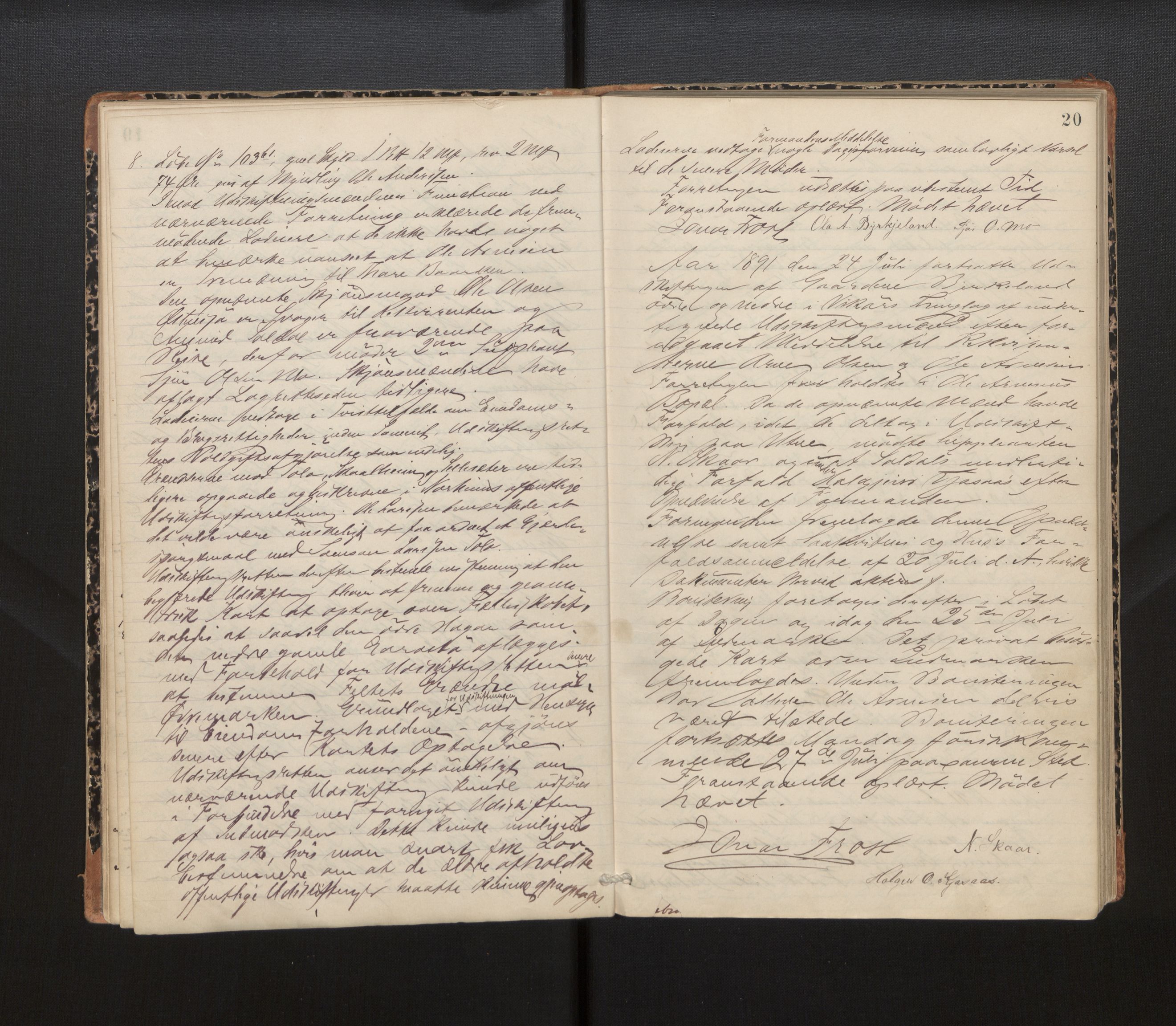 Hordaland jordskiftedøme - IV Hardanger jordskiftedistrikt, AV/SAB-A-7101/A/Aa/L0013: Forhandlingsprotokoll, 1890-1894, p. 19b-20a