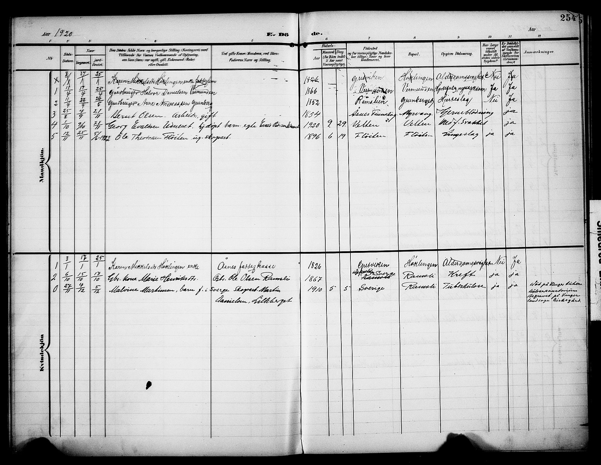 Åsnes prestekontor, AV/SAH-PREST-042/H/Ha/Hab/L0006: Parish register (copy) no. 6, 1903-1929, p. 254