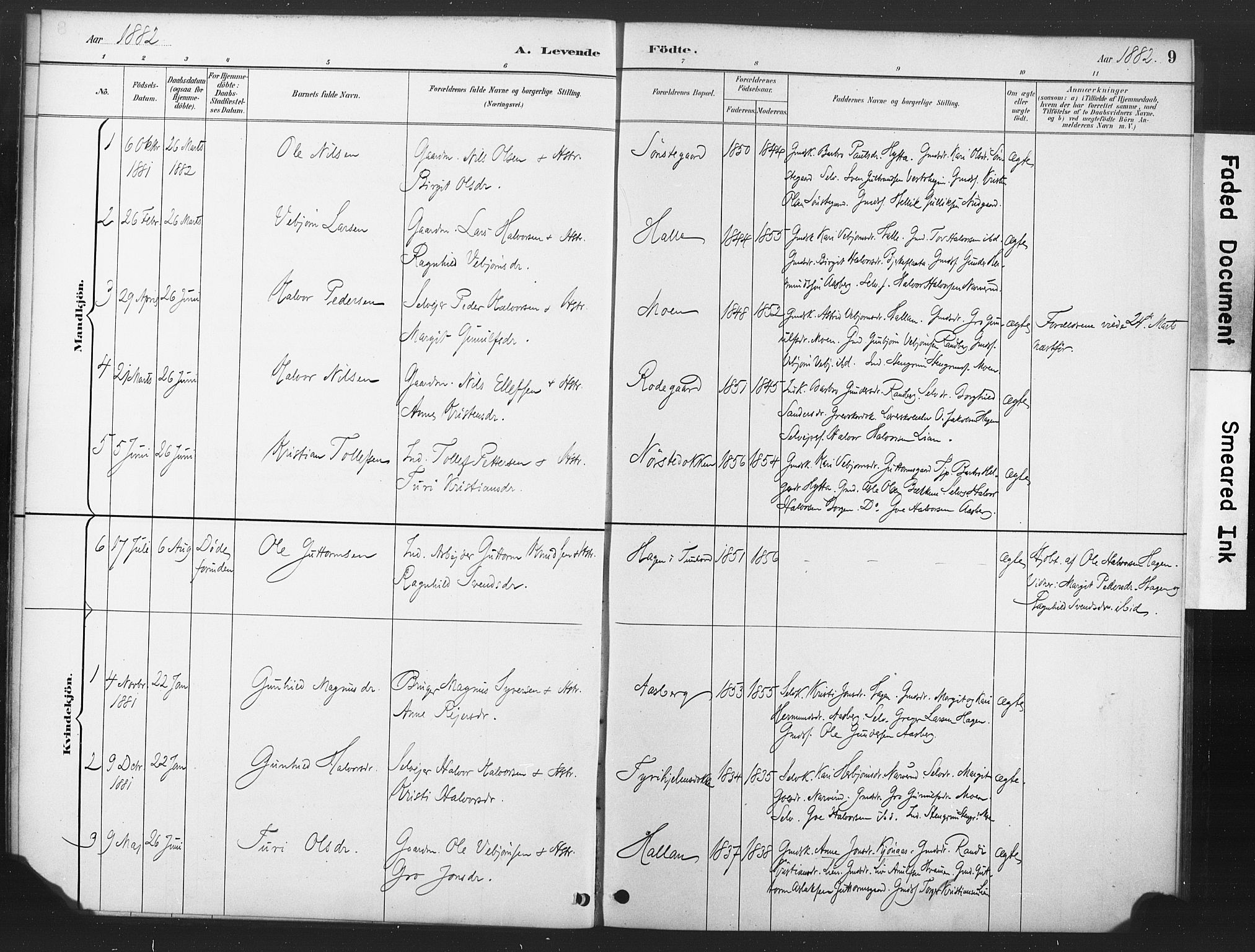 Nore kirkebøker, SAKO/A-238/F/Fd/L0001: Parish register (official) no. IV 1, 1878-1918, p. 9