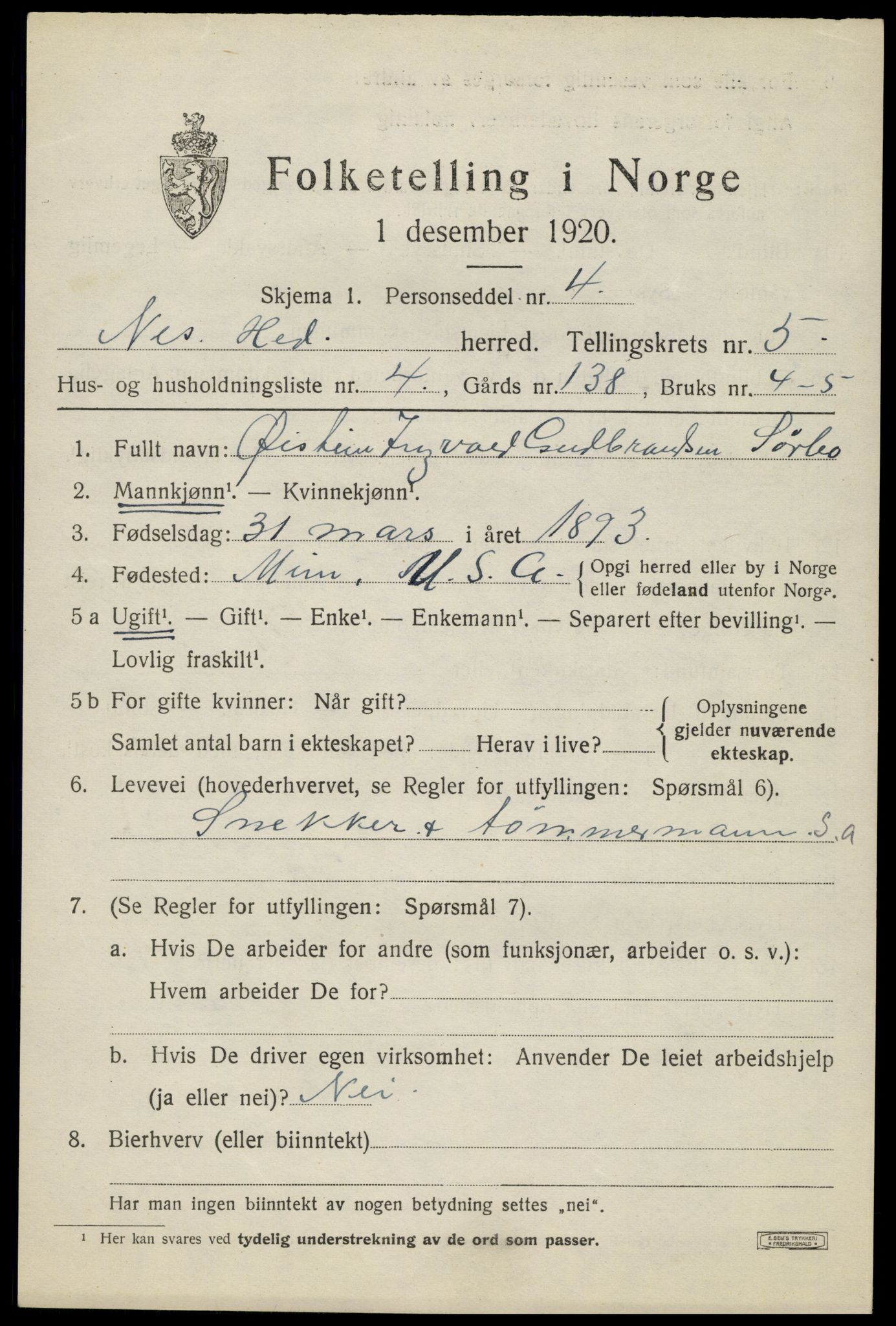 SAH, 1920 census for Nes (Hedmark), 1920, p. 6800