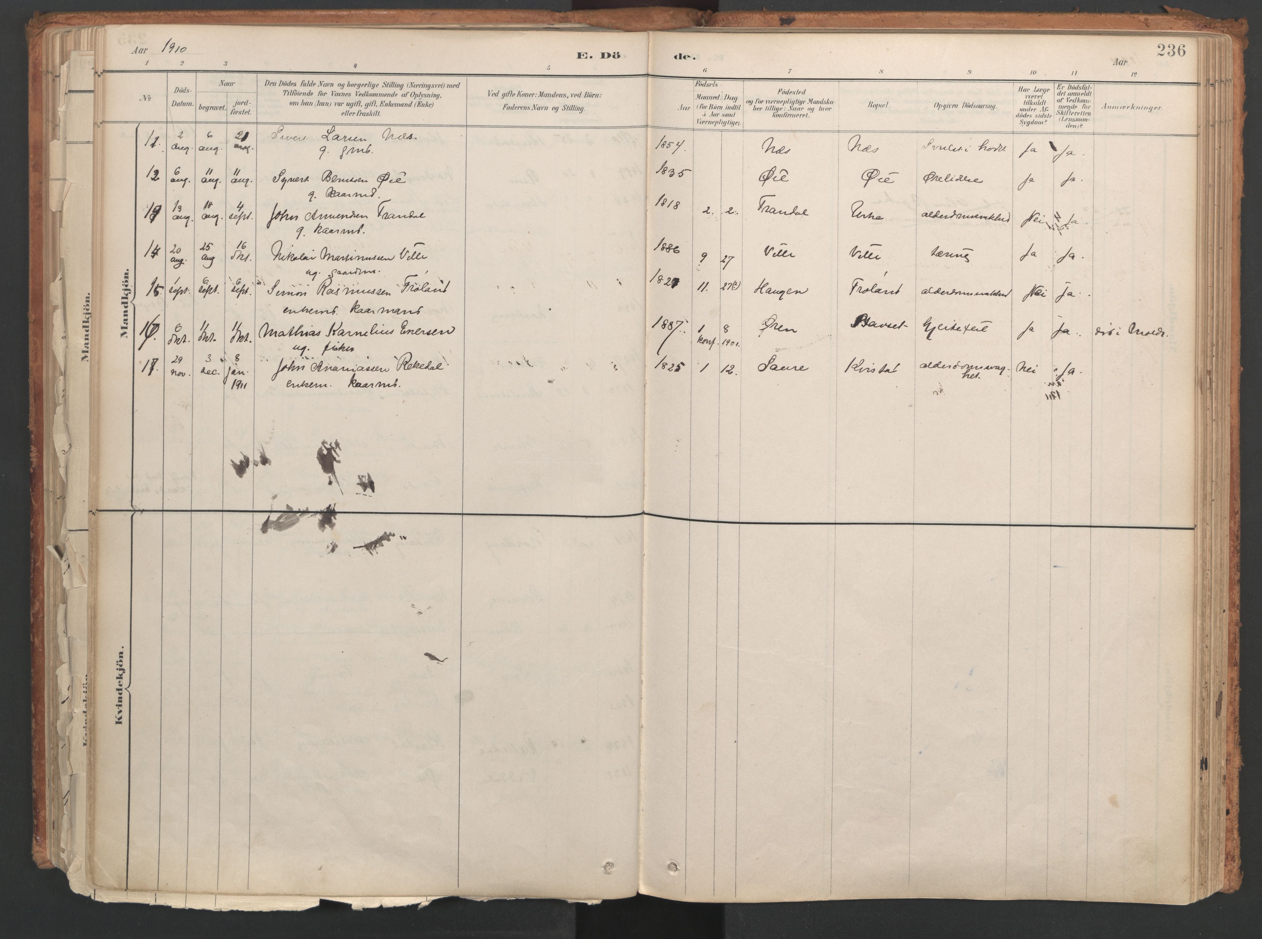 Ministerialprotokoller, klokkerbøker og fødselsregistre - Møre og Romsdal, SAT/A-1454/515/L0211: Parish register (official) no. 515A07, 1886-1910, p. 236