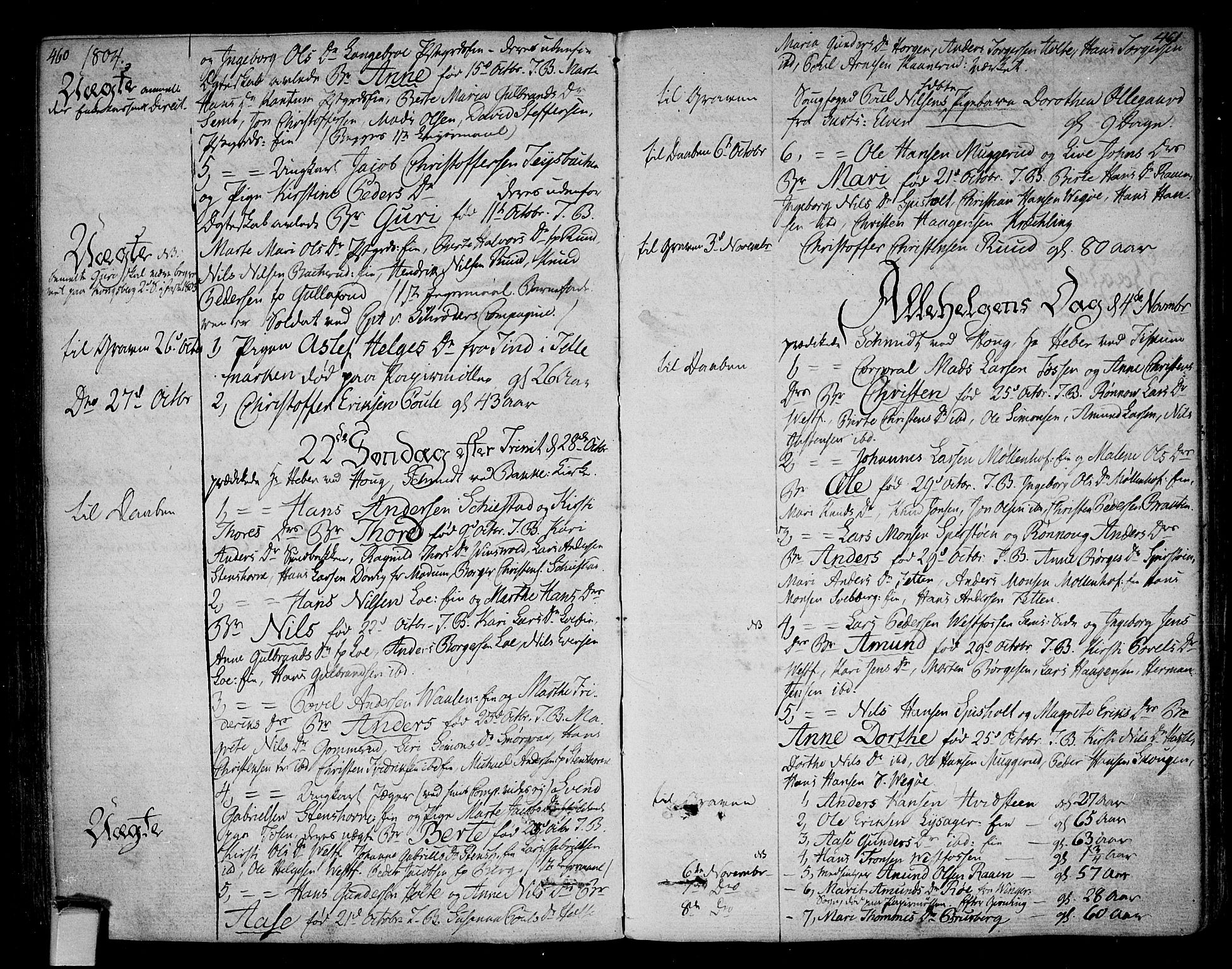 Eiker kirkebøker, AV/SAKO-A-4/F/Fa/L0009: Parish register (official) no. I 9, 1789-1806, p. 460-461