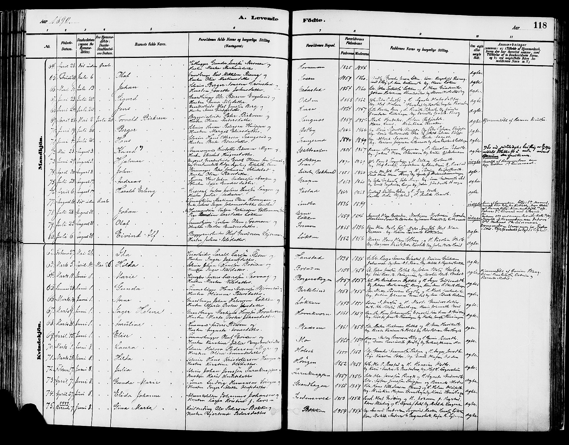 Elverum prestekontor, AV/SAH-PREST-044/H/Ha/Haa/L0013: Parish register (official) no. 13, 1880-1890, p. 118