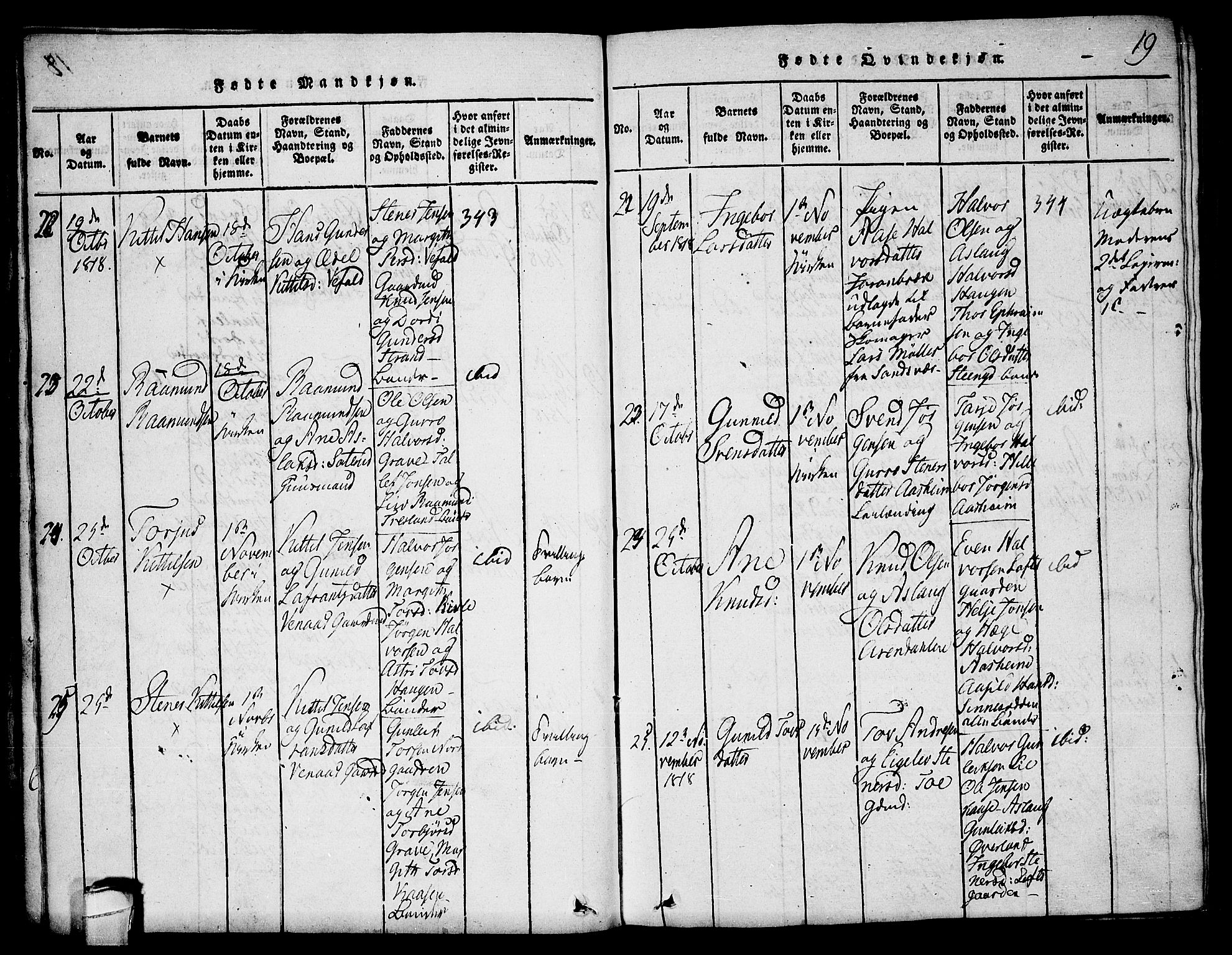 Seljord kirkebøker, SAKO/A-20/F/Fa/L0010: Parish register (official) no. I 10, 1815-1831, p. 19