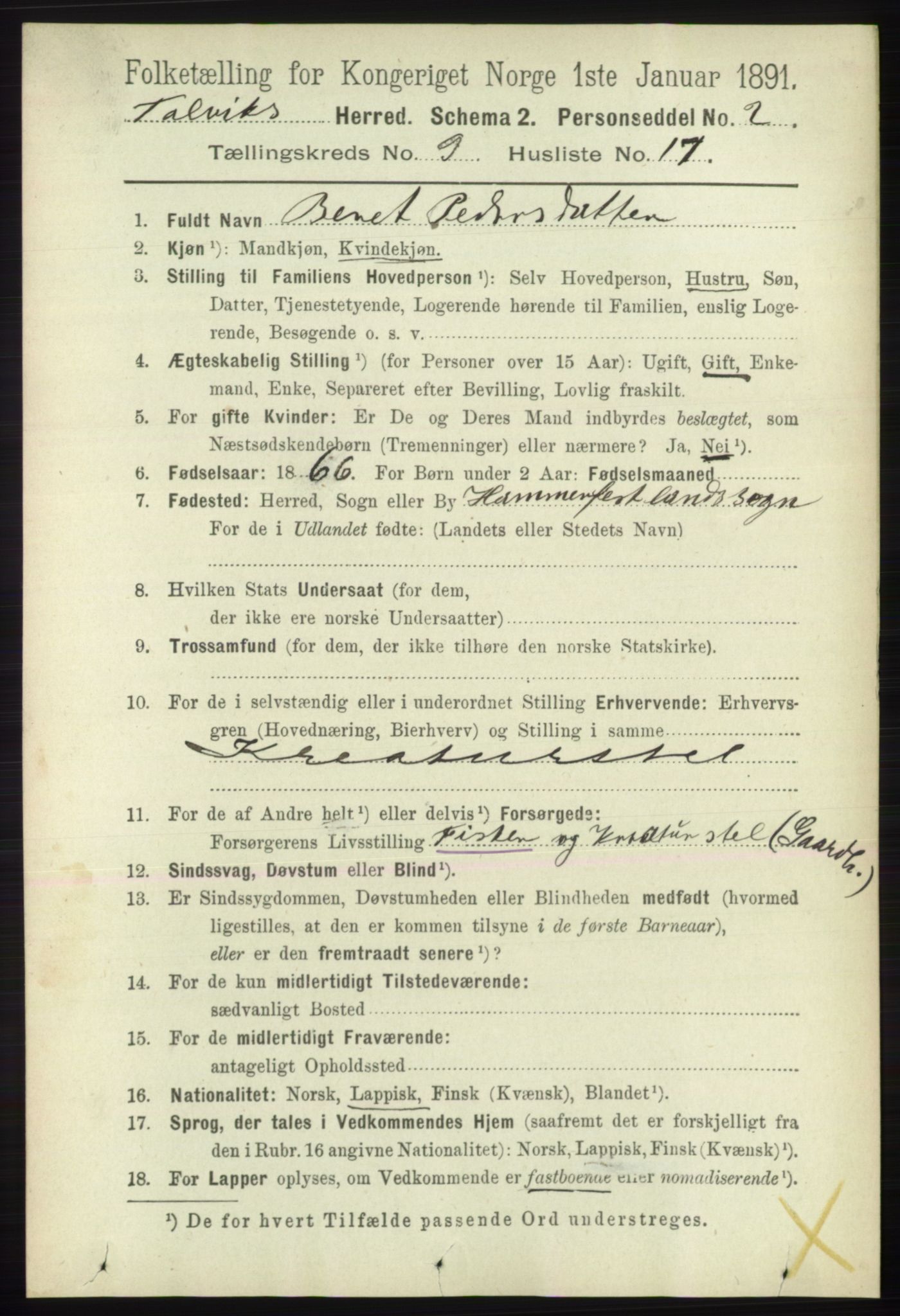 RA, 1891 census for 2013 Talvik, 1891, p. 2256