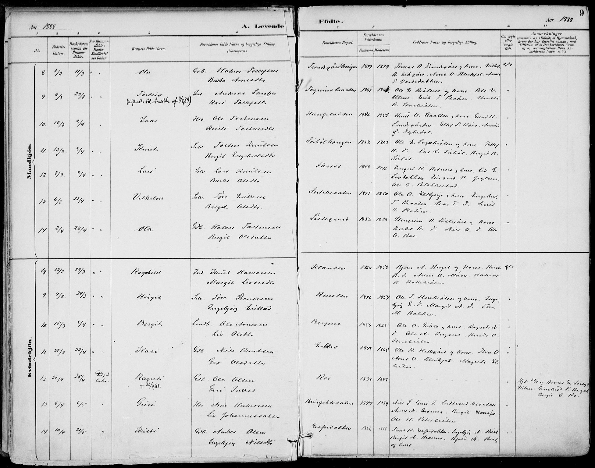 Gol kirkebøker, AV/SAKO-A-226/F/Fa/L0005: Parish register (official) no. I 5, 1887-1900, p. 9