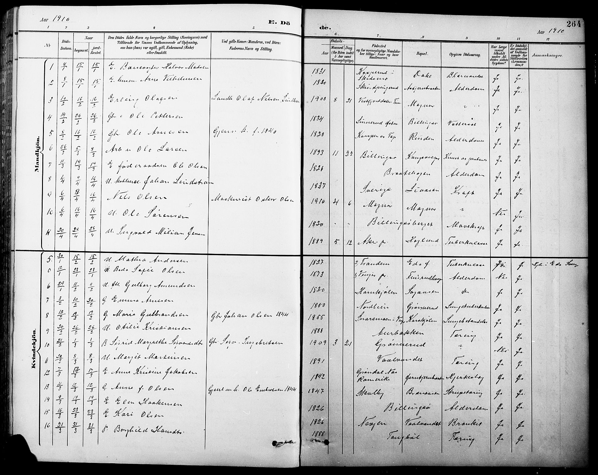 Eidskog prestekontor, AV/SAH-PREST-026/H/Ha/Hab/L0001: Parish register (copy) no. 1, 1895-1917, p. 264