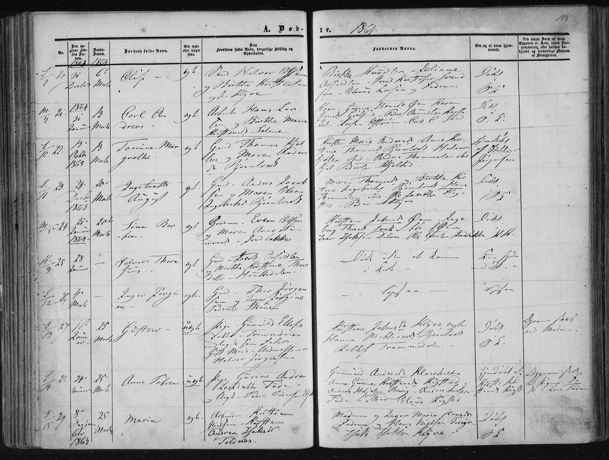 Solum kirkebøker, AV/SAKO-A-306/F/Fa/L0007: Parish register (official) no. I 7, 1856-1864, p. 133