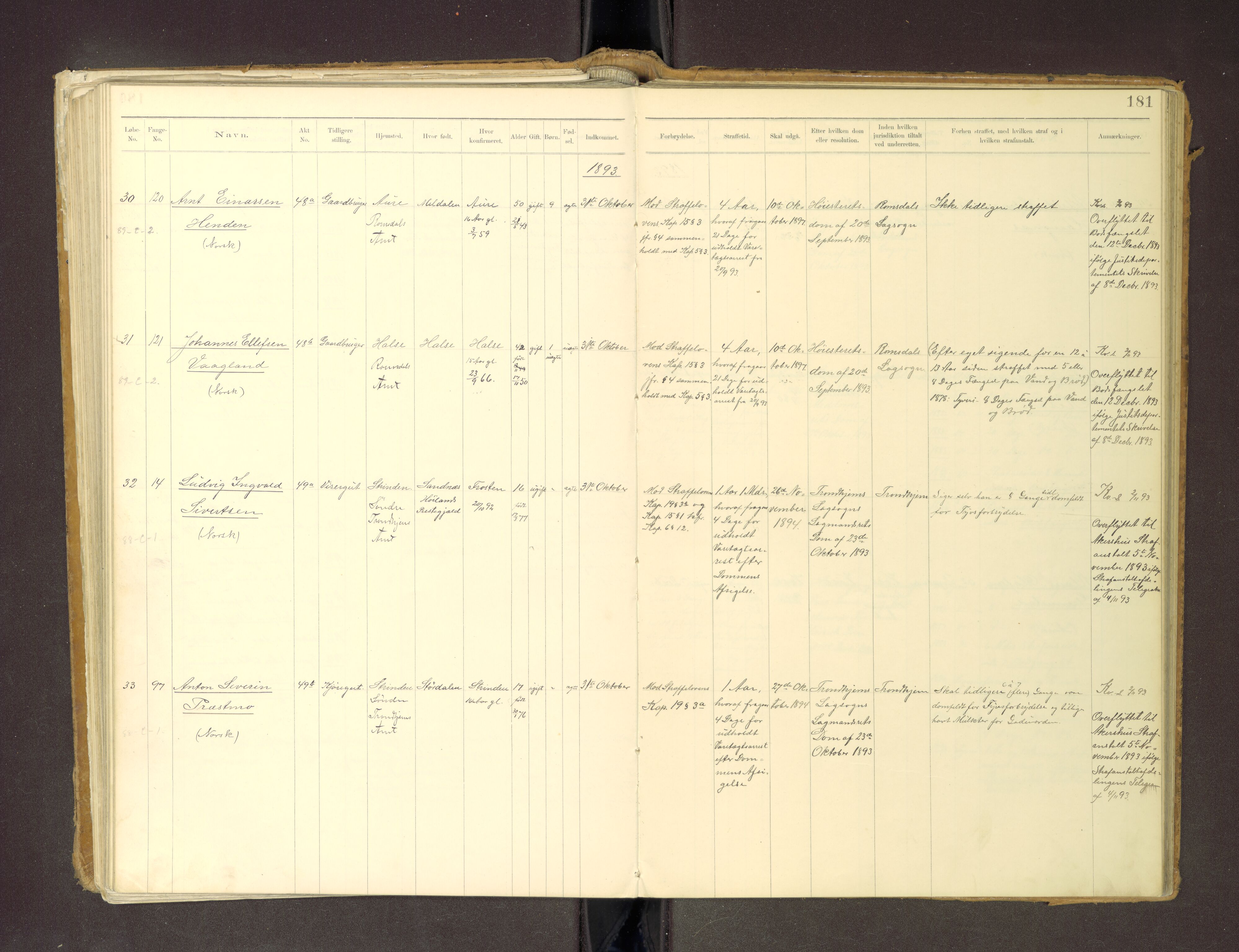 Trondheim tukthus, AV/SAT-A-4619/05/65/L0036: 65.36 Fangeprotokoll m/reg, 1885-1898, p. 181