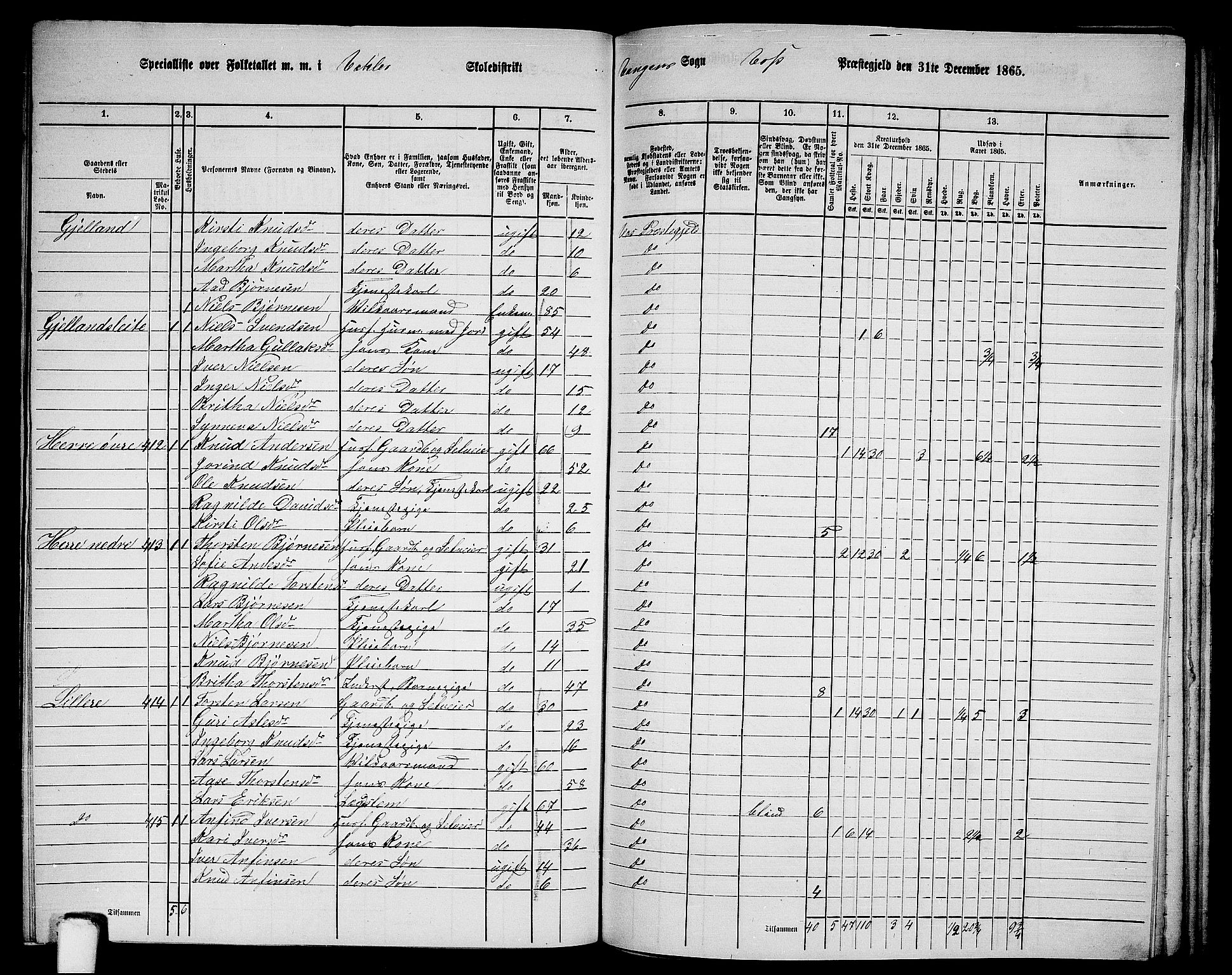 RA, 1865 census for Voss, 1865, p. 187