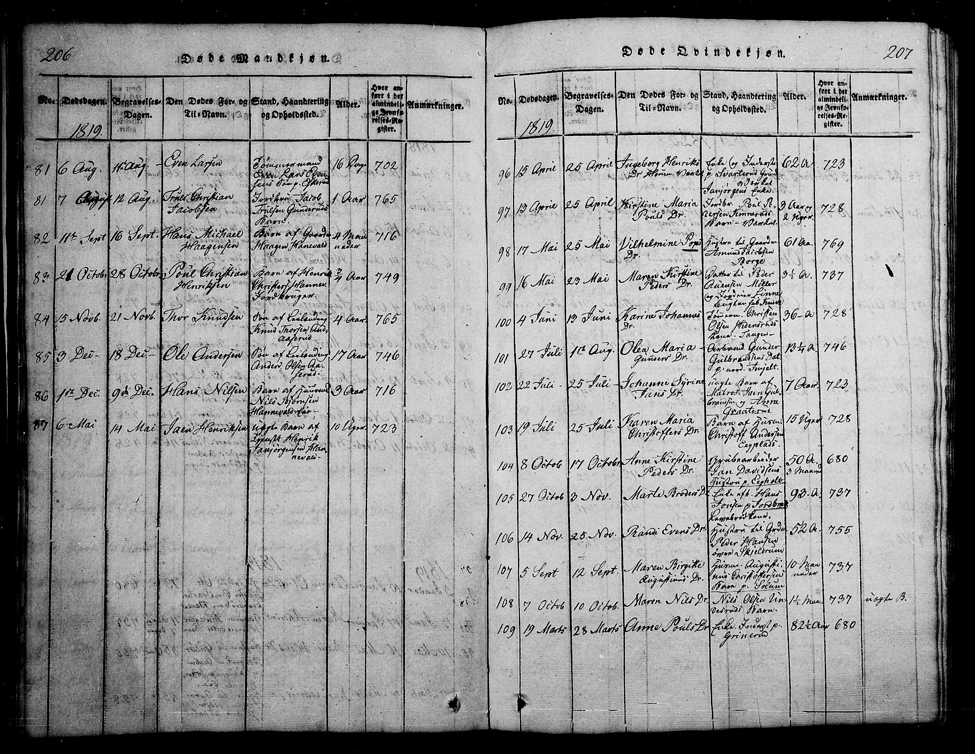 Skoger kirkebøker, AV/SAKO-A-59/G/Ga/L0001: Parish register (copy) no. I 1, 1814-1845, p. 206-207