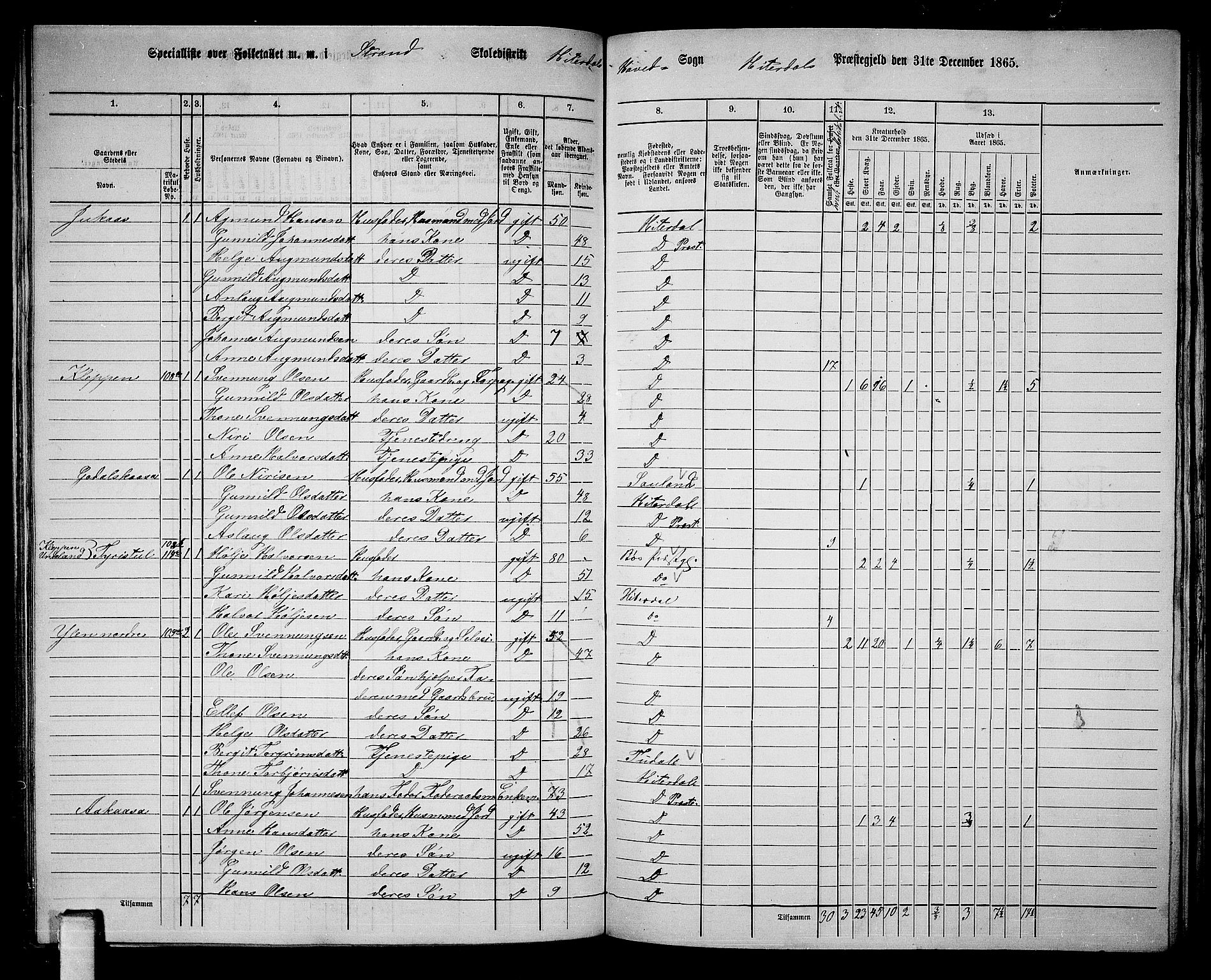 RA, 1865 census for Heddal, 1865, p. 97