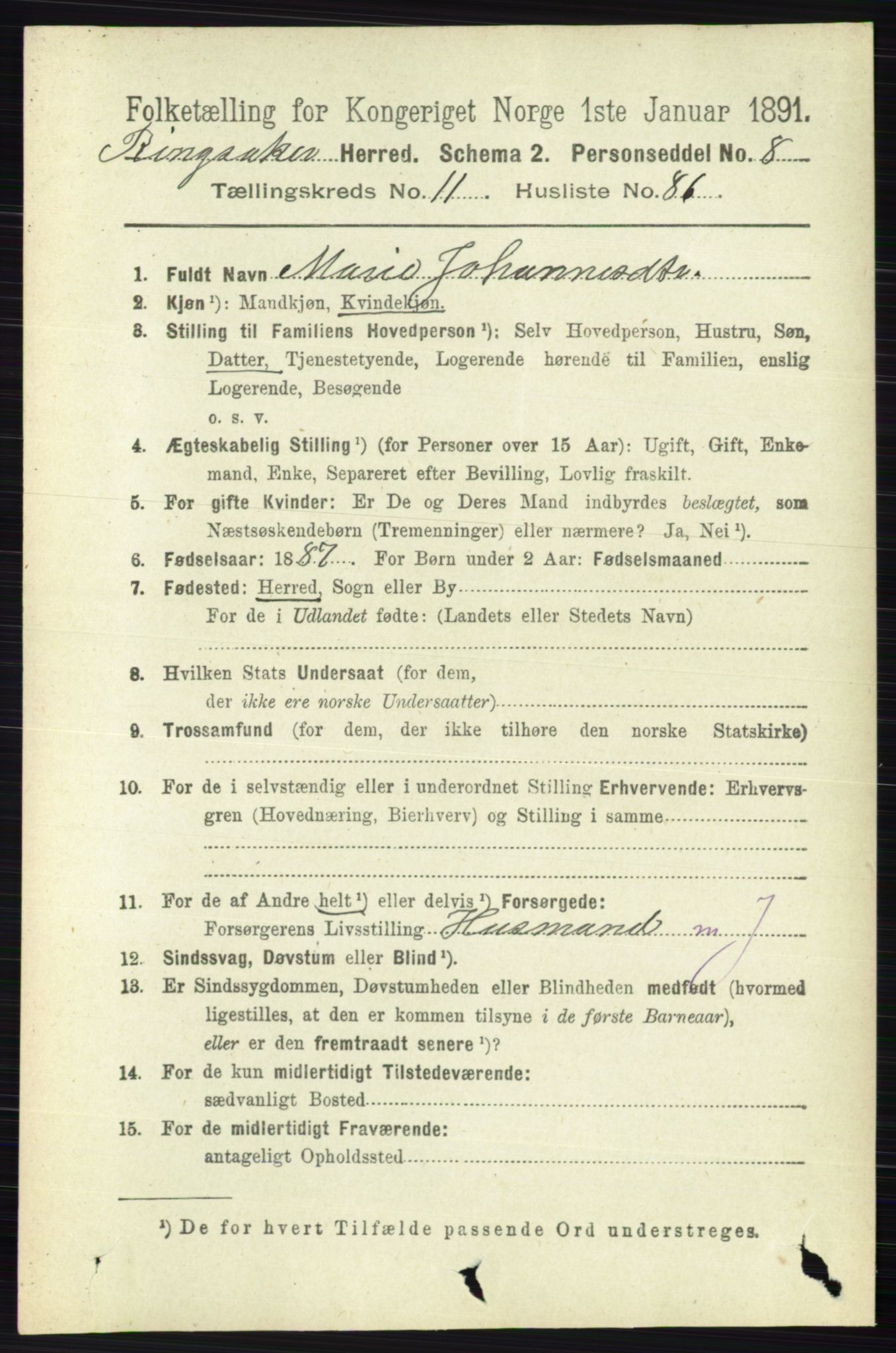 RA, 1891 census for 0412 Ringsaker, 1891, p. 6696