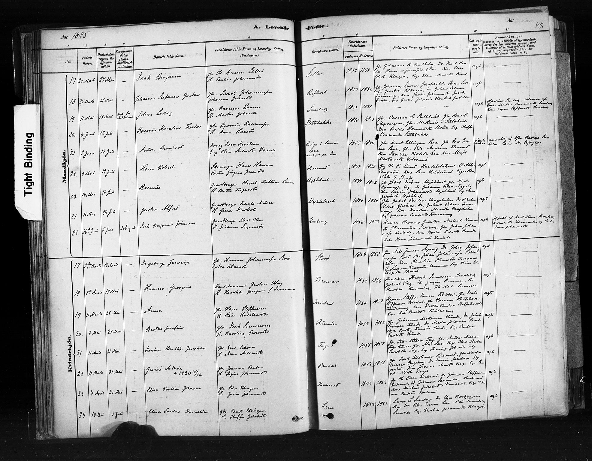 Ministerialprotokoller, klokkerbøker og fødselsregistre - Møre og Romsdal, SAT/A-1454/507/L0073: Parish register (official) no. 507A08, 1878-1904, p. 45