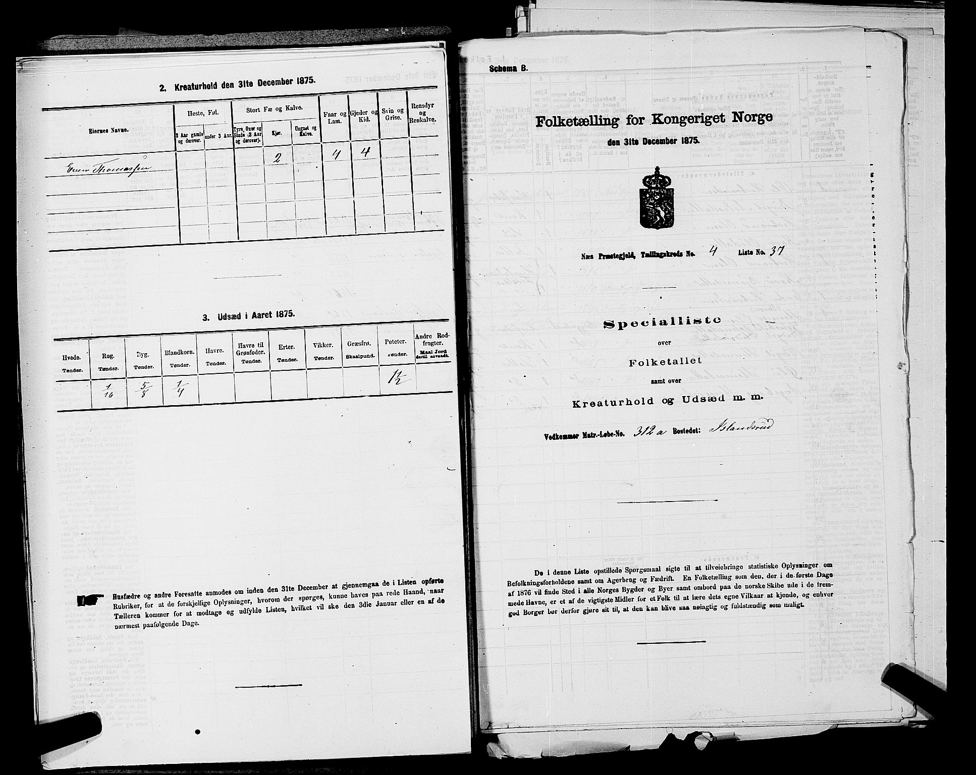 SAKO, 1875 census for 0616P Nes, 1875, p. 849